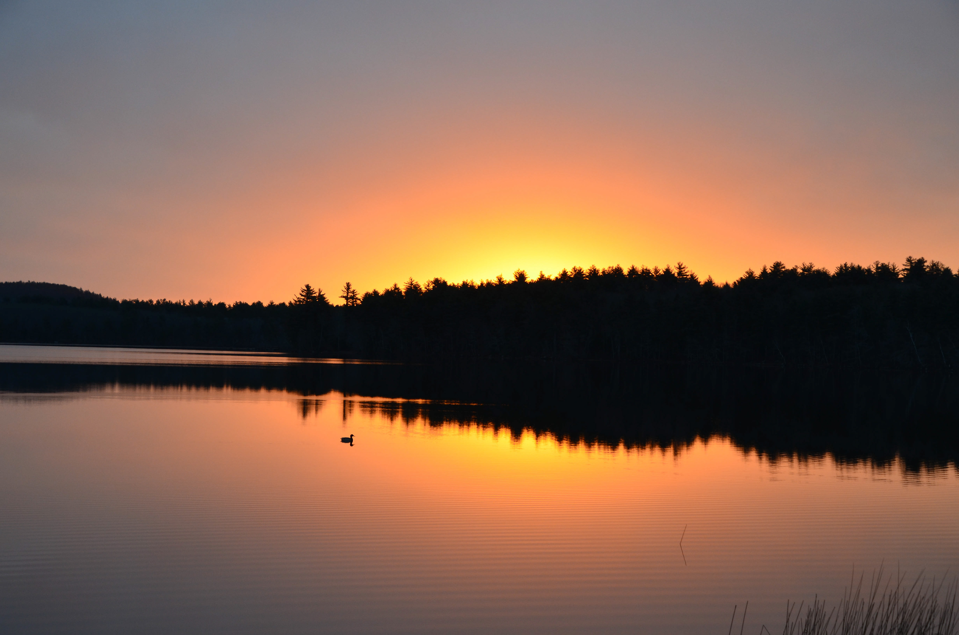 Massabesic Lake (Viewed from Front Park)