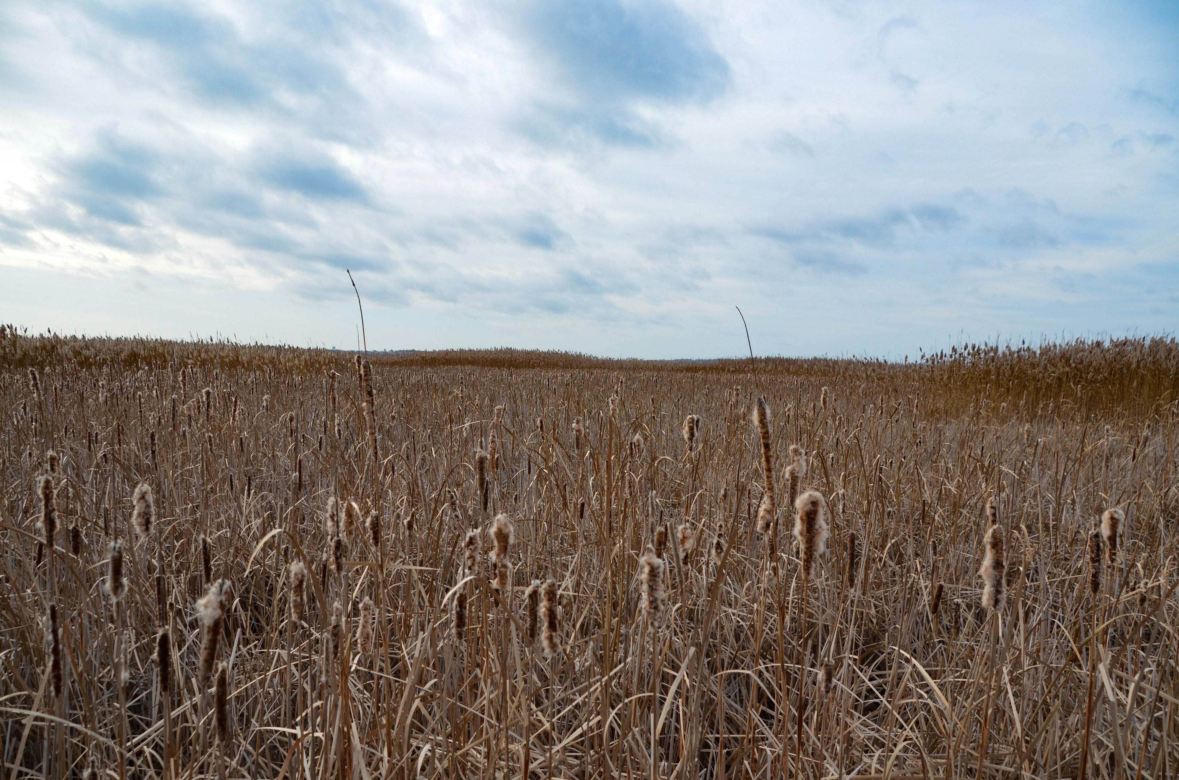 Parker River National Wildlife Refuge, Newbury, MA