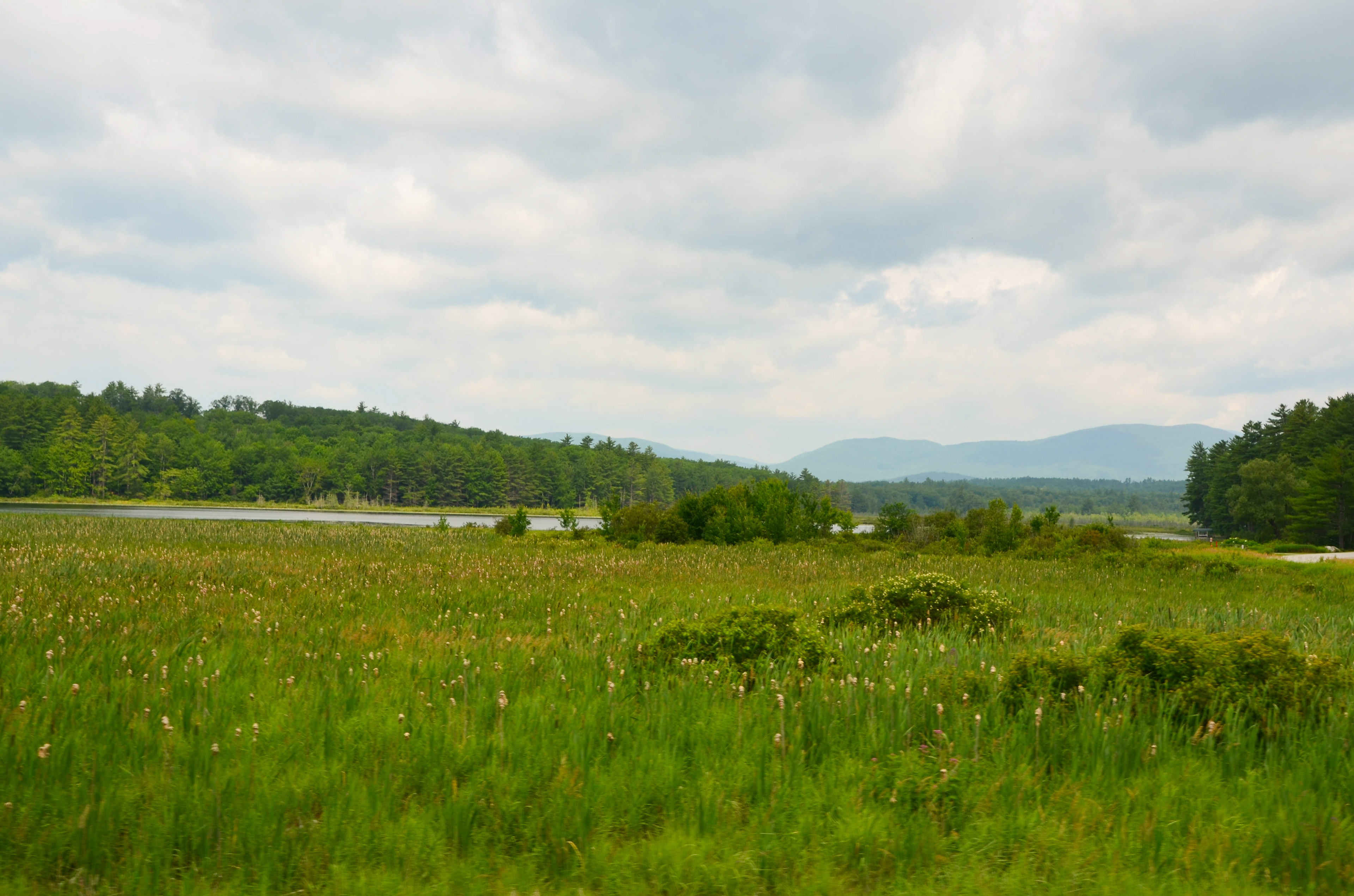 View at the intersection of Route 25 and Route 109