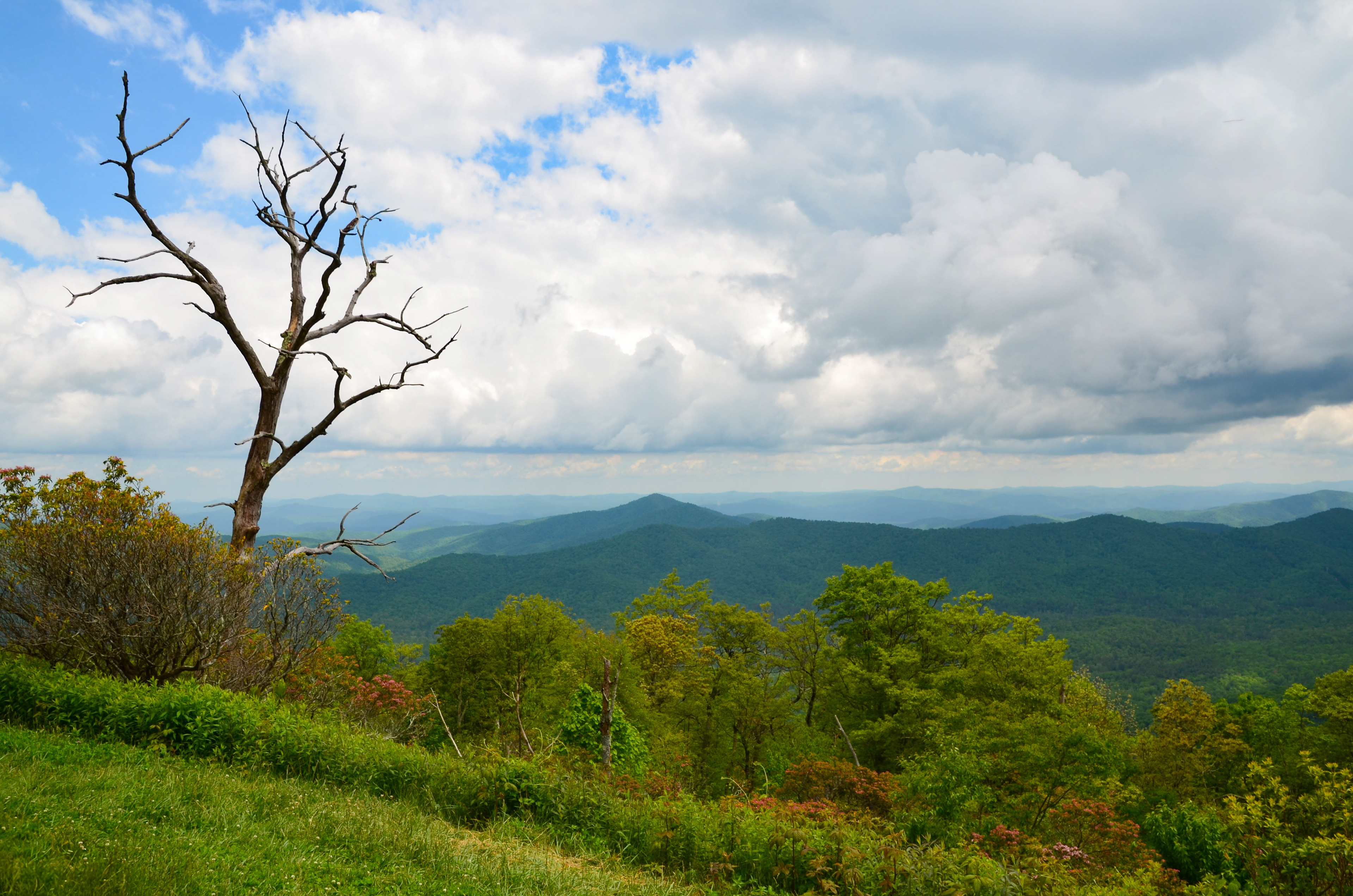 The Cradle of Forestry Overlook, Canton - Blue Ridge Parkway