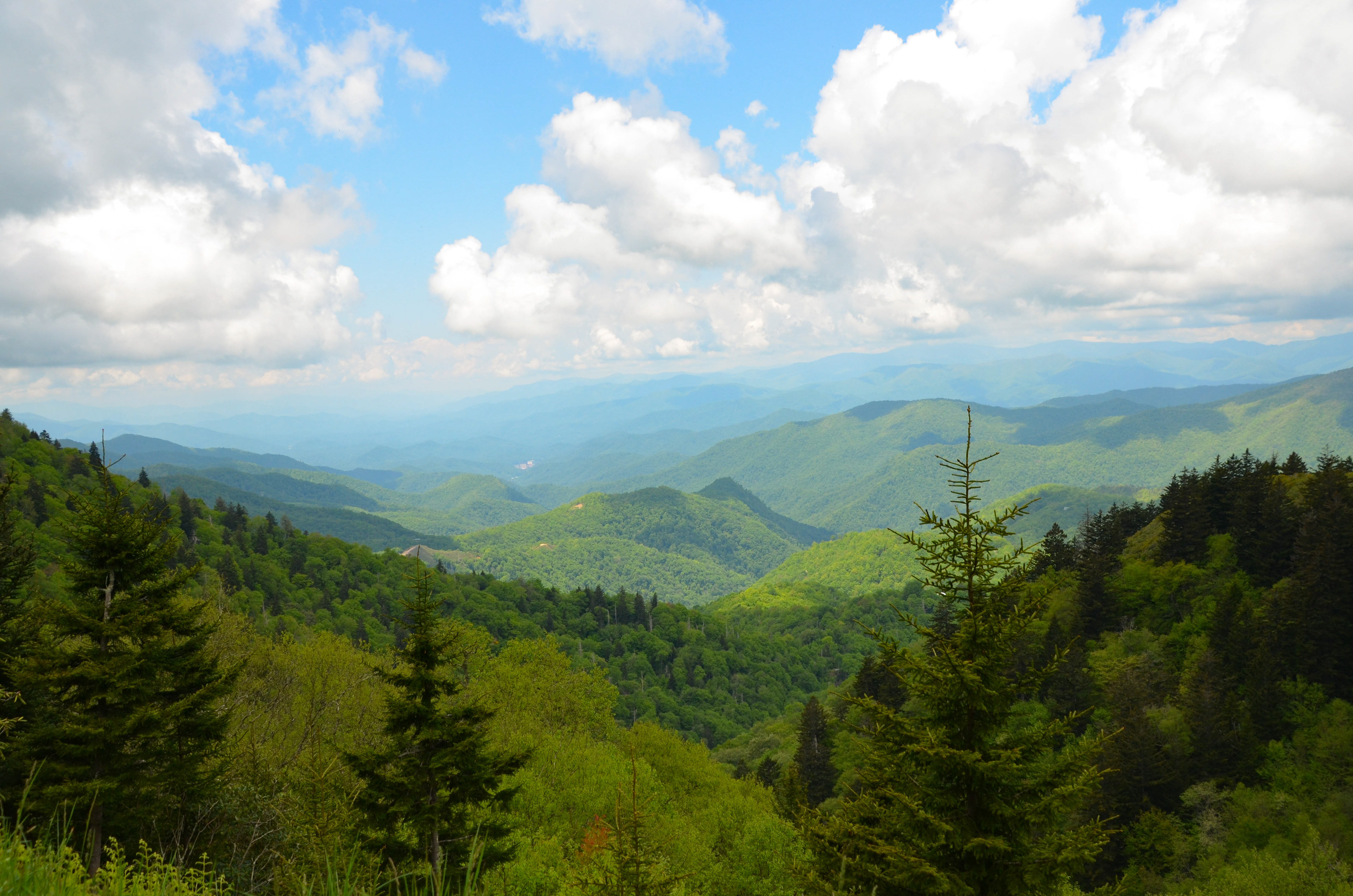 Cranberry Ridge Overlook, Jackson County - Blue Ridge Parkway
