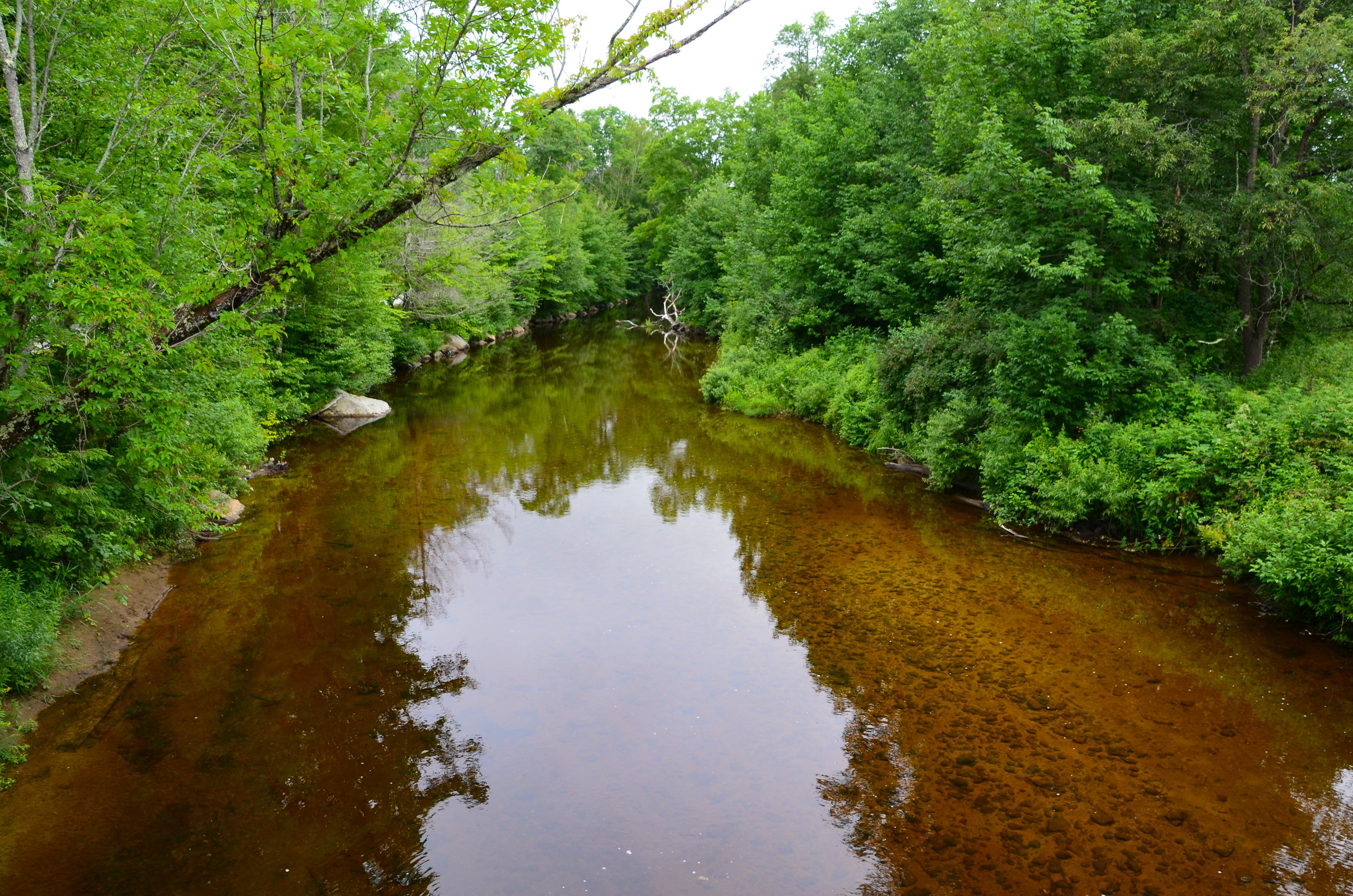 Beebe River