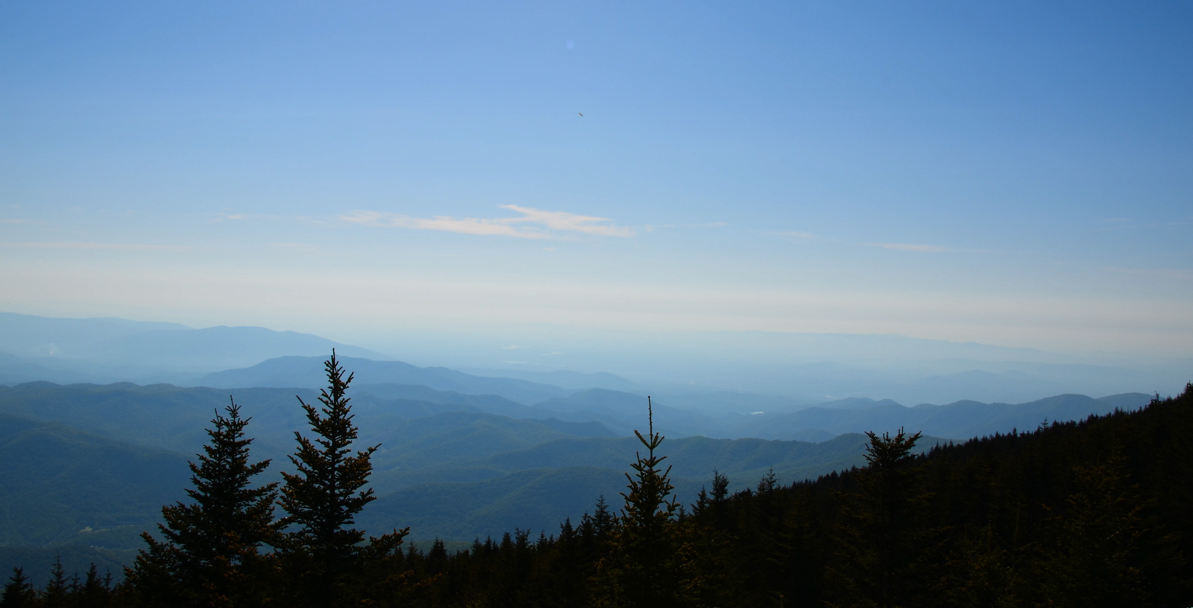View from Mt. Mitchell, Burnsville - Highest peak east of the Mississippi River