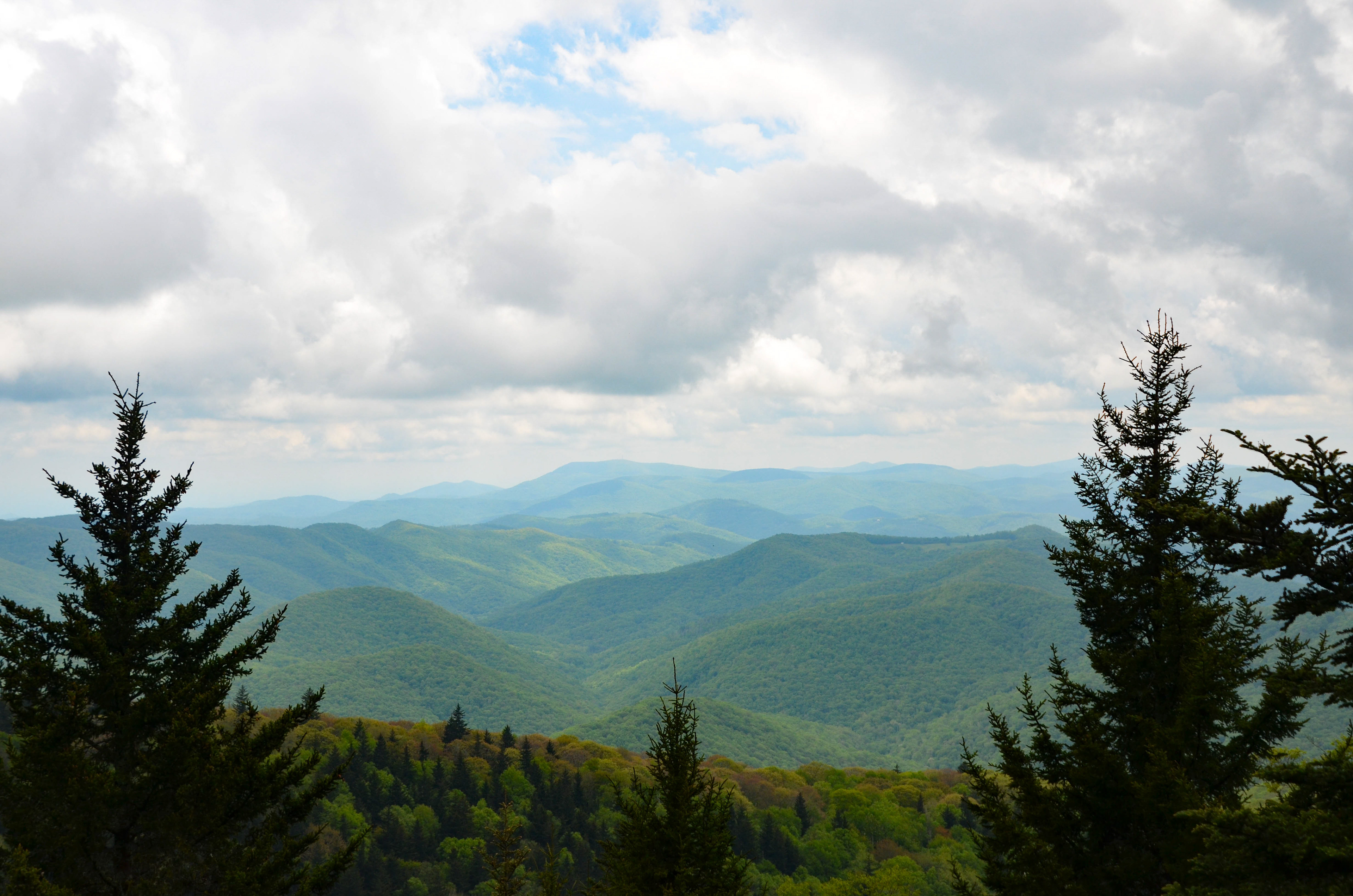 Herrin Knob, Tuckasegee - Blue Ridge Parkway