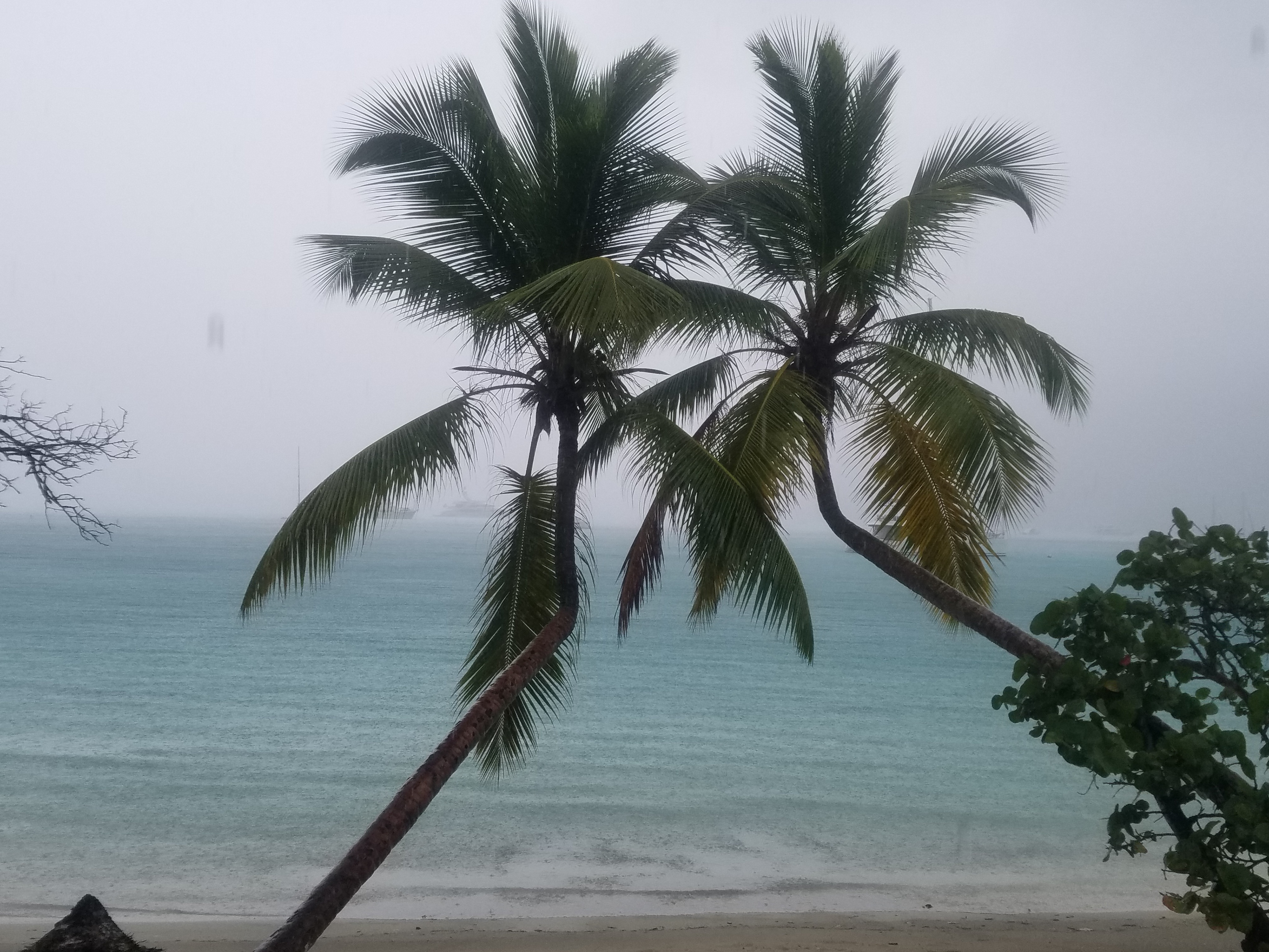 Maho Bay