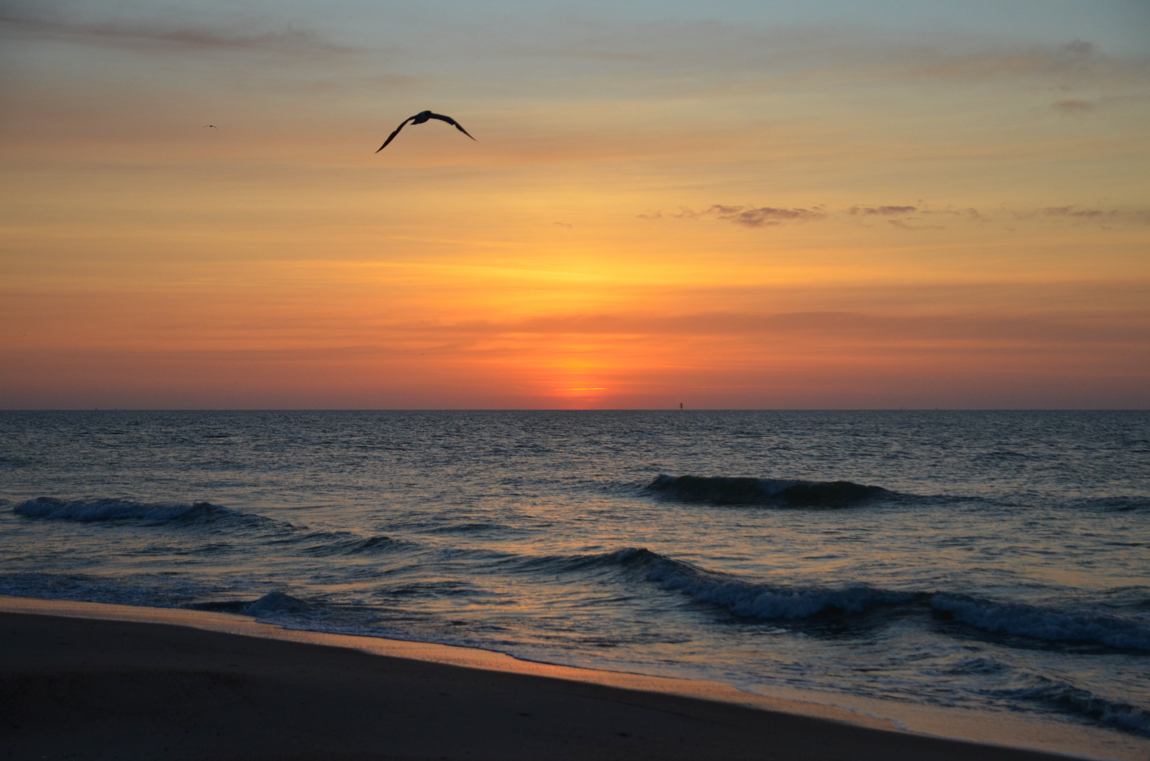 Tybee Beach - Tybee Island