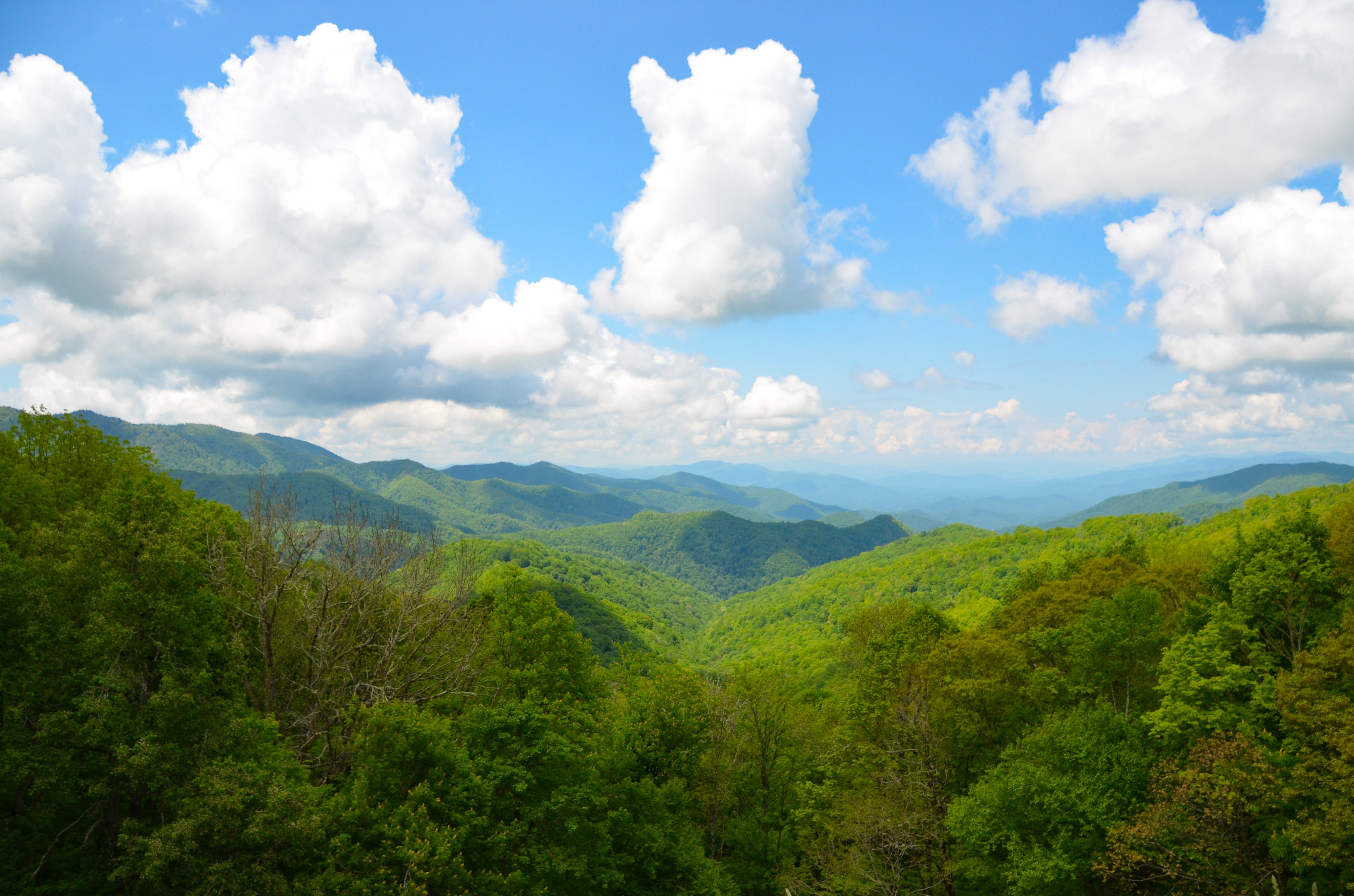Thunder Struck Ridge Overlook, Jackson County - Blue Ridge Parkway