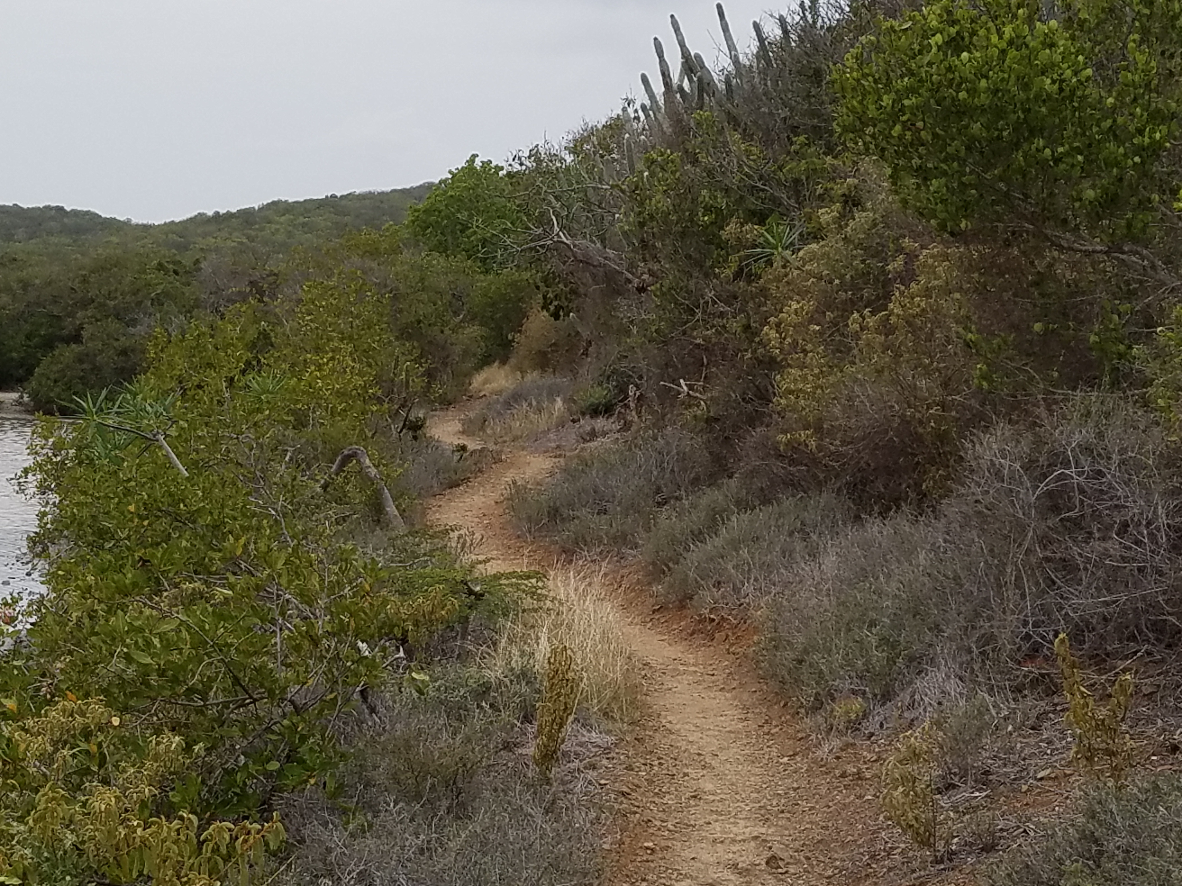 Ram Head Trail