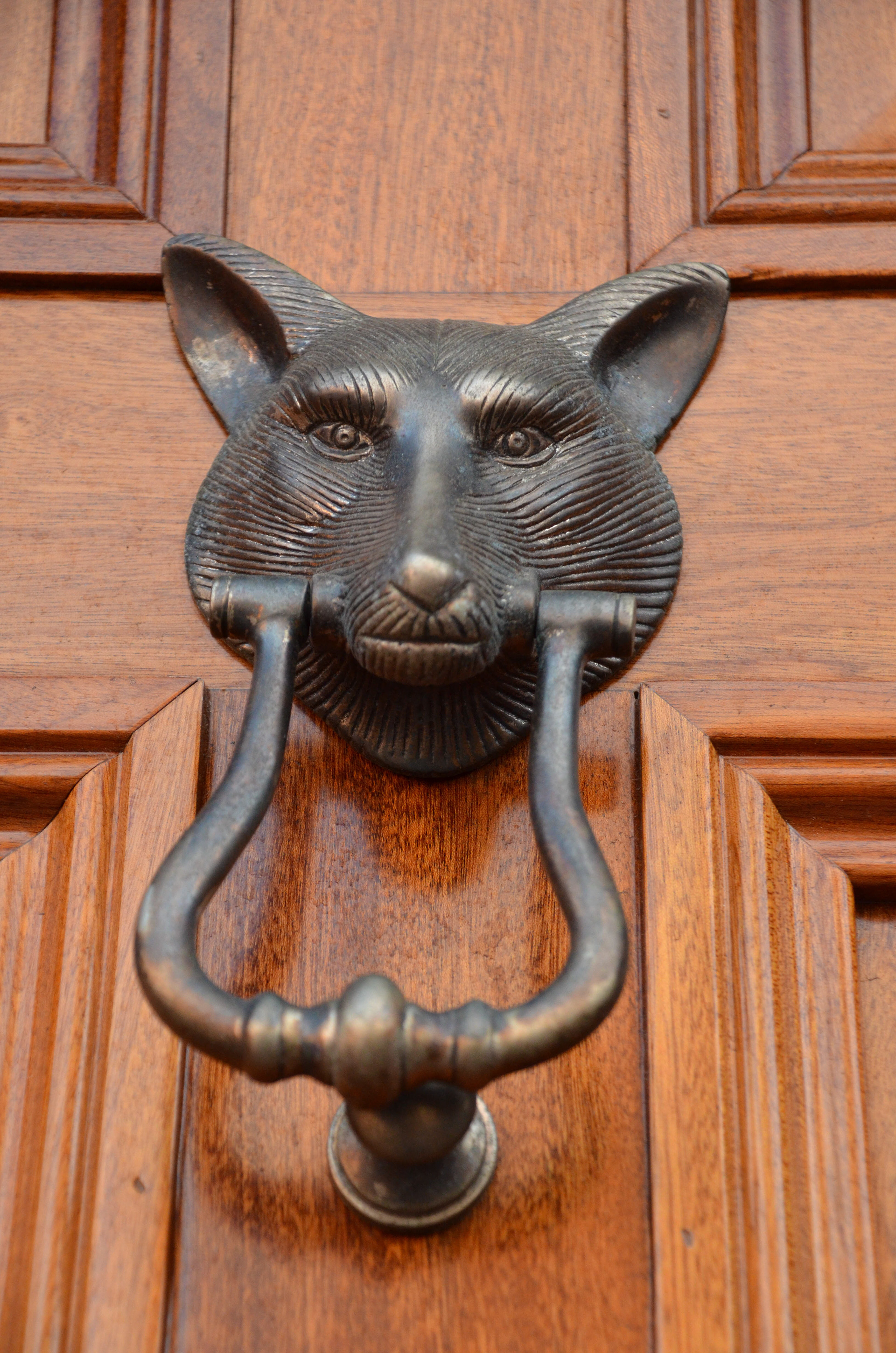 Door knocker on Congress Street