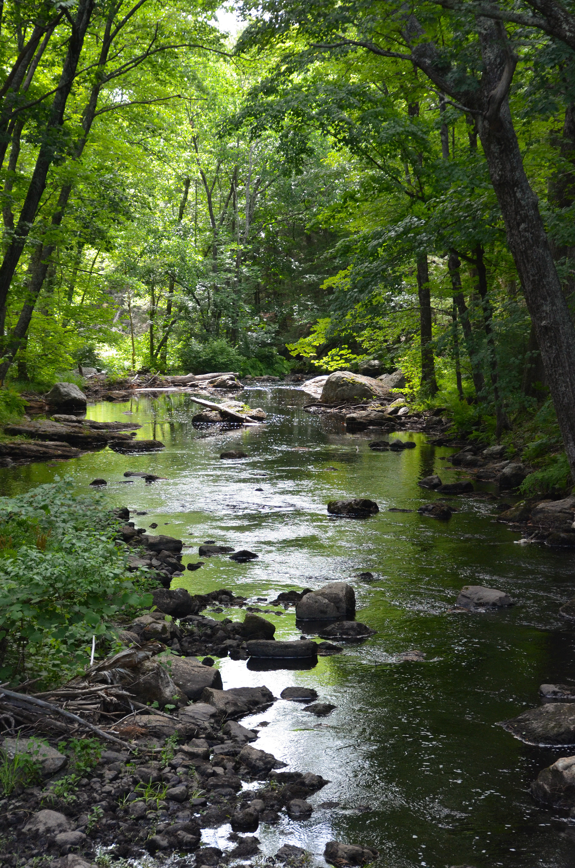 North River