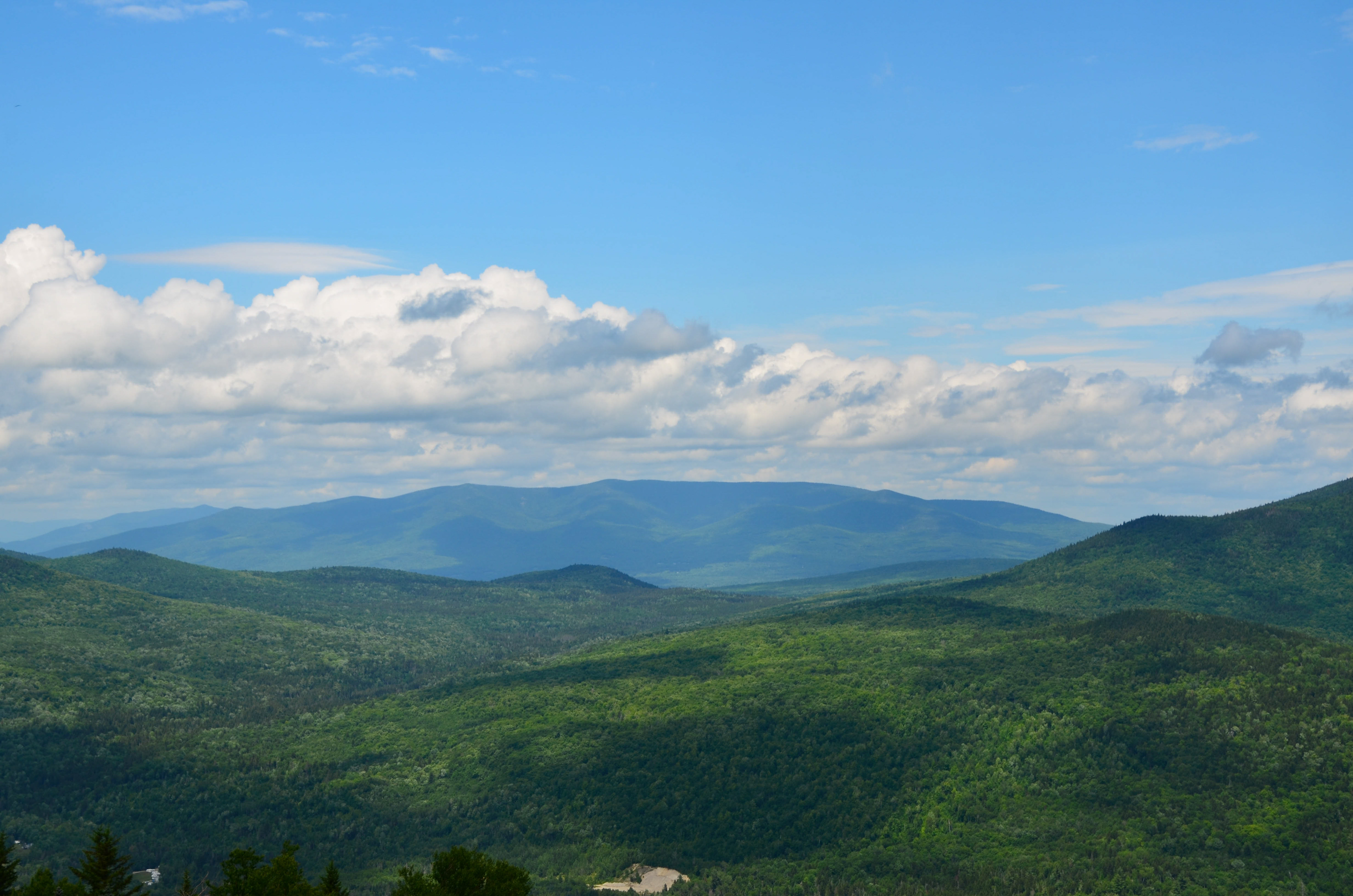View from Mt. Rosebrook at Bretton Woods