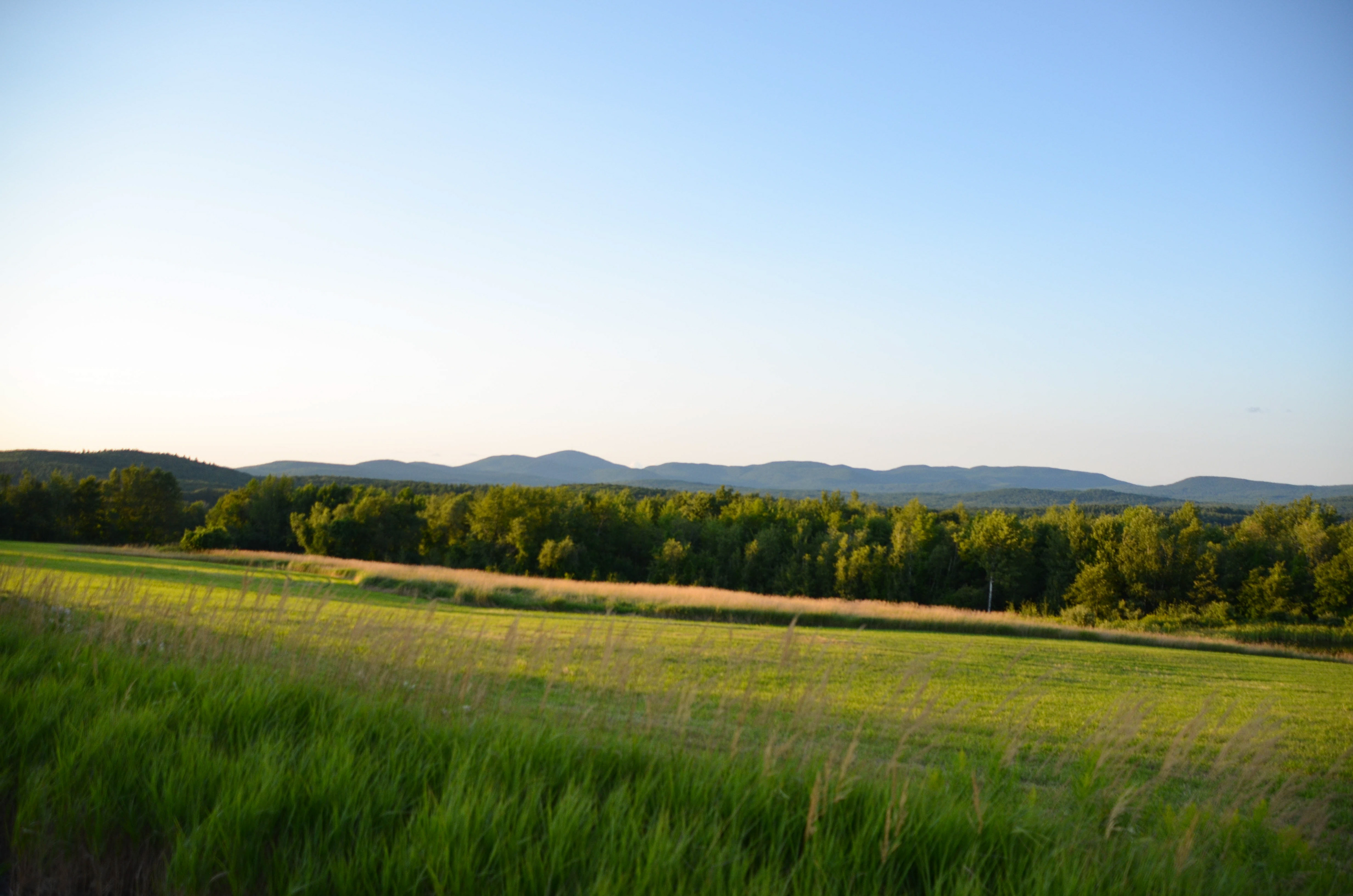 A view from Route 107