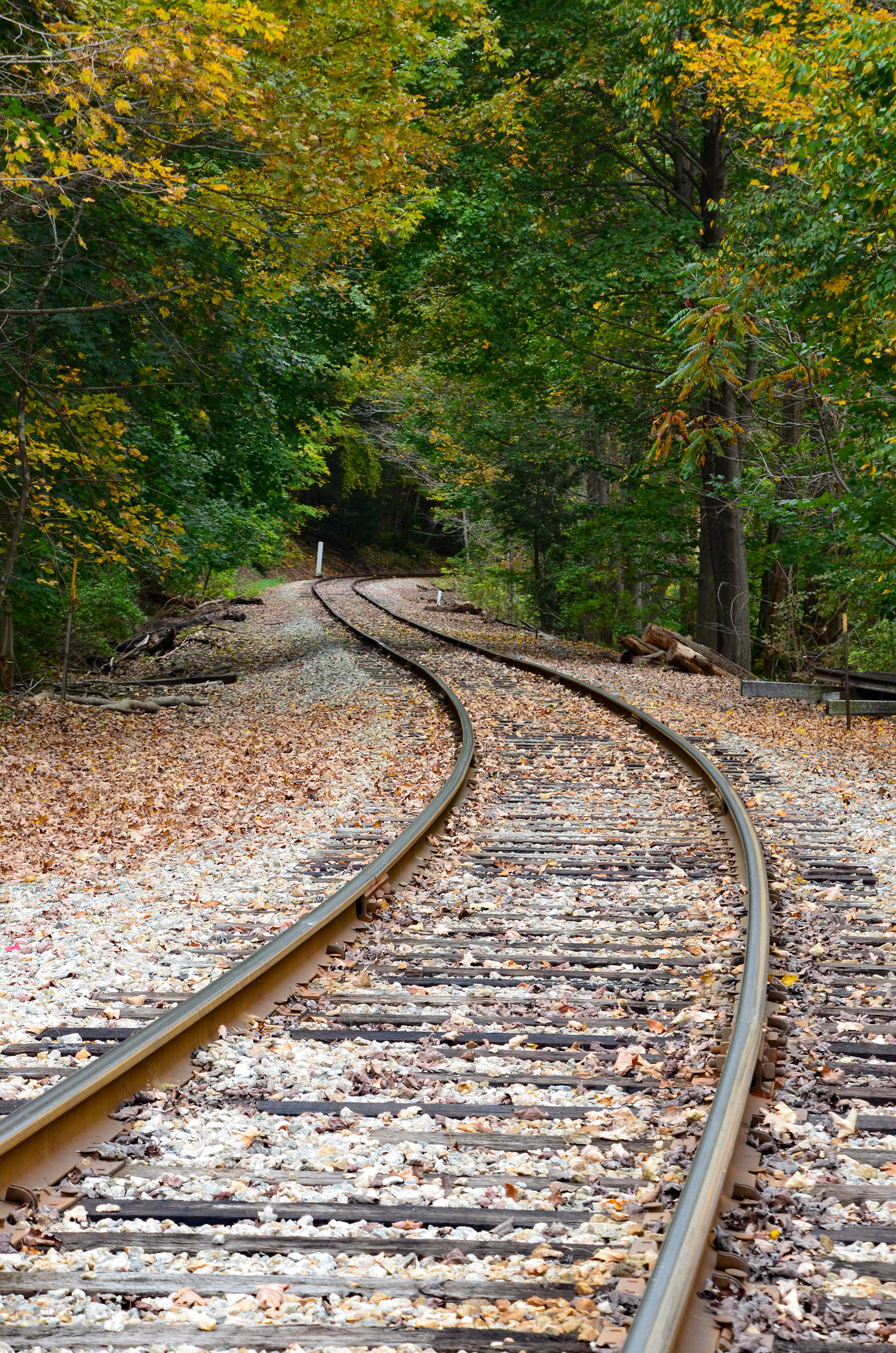Railroad Through Town