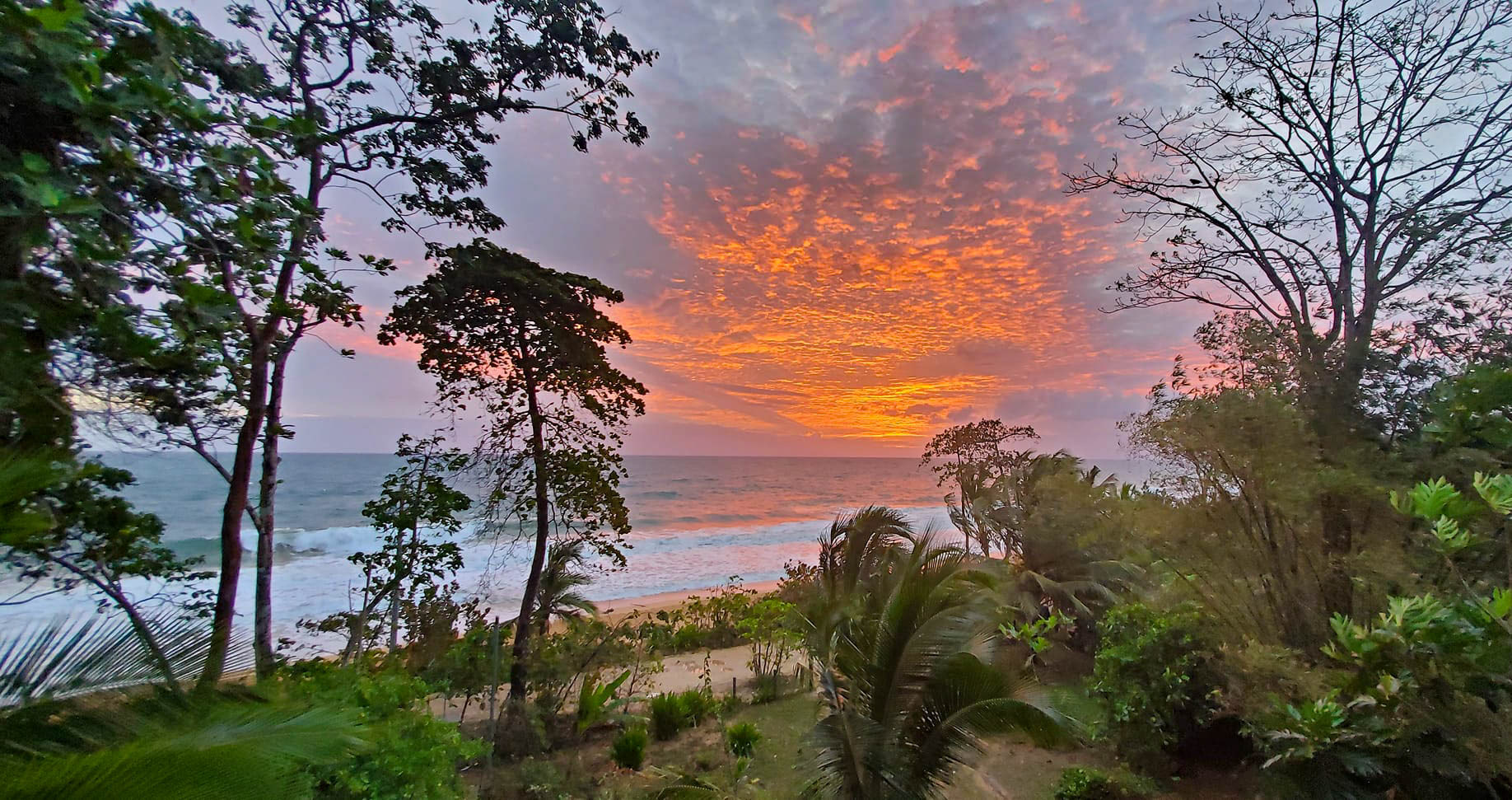 Playa Bluff, Isla Colon, Bocas Del Toro