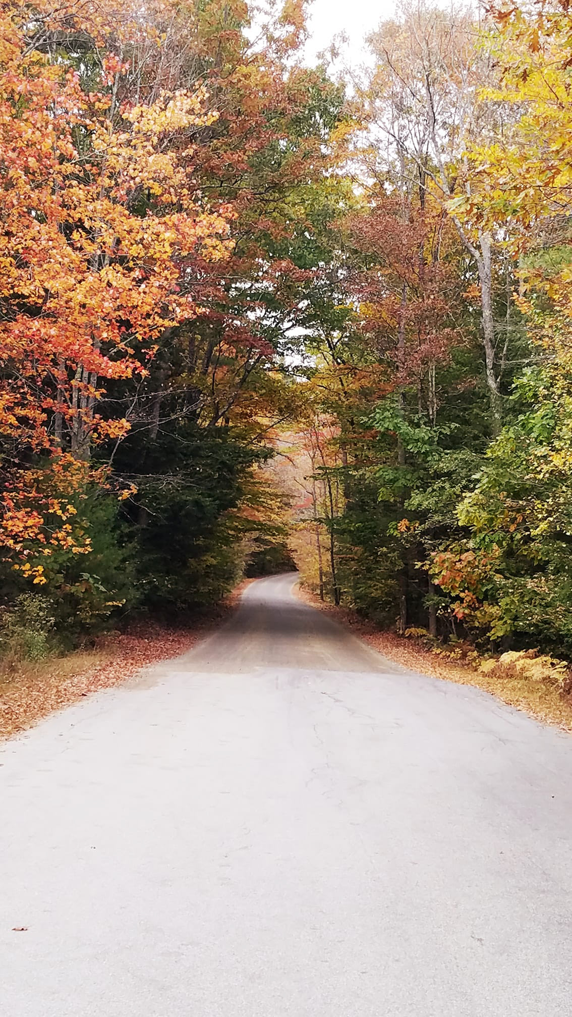 End of the pavement on Case Road heading toward Lee