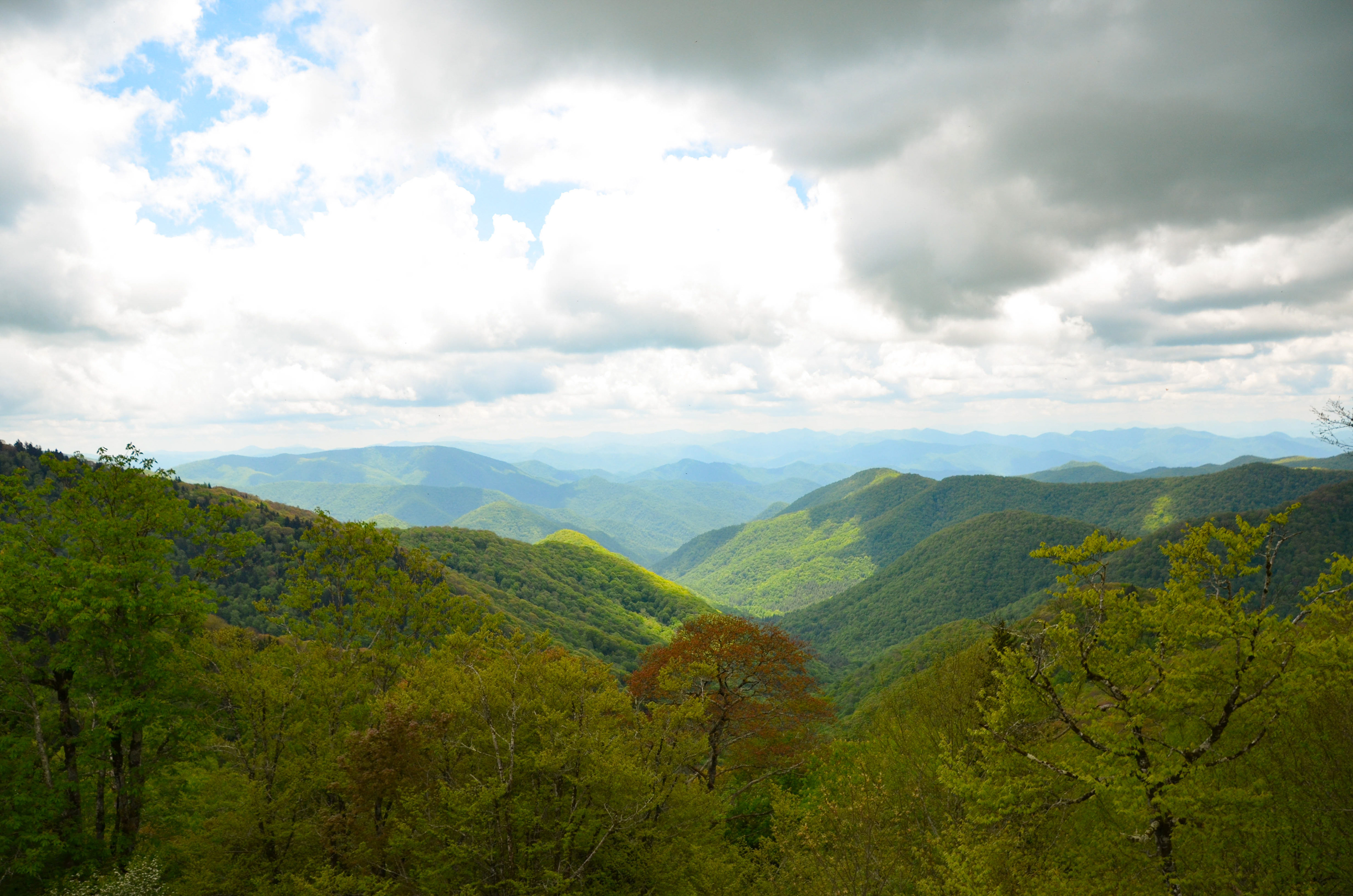 Lone Bald Overlook, Waynesville - Blue Ridge Parkway