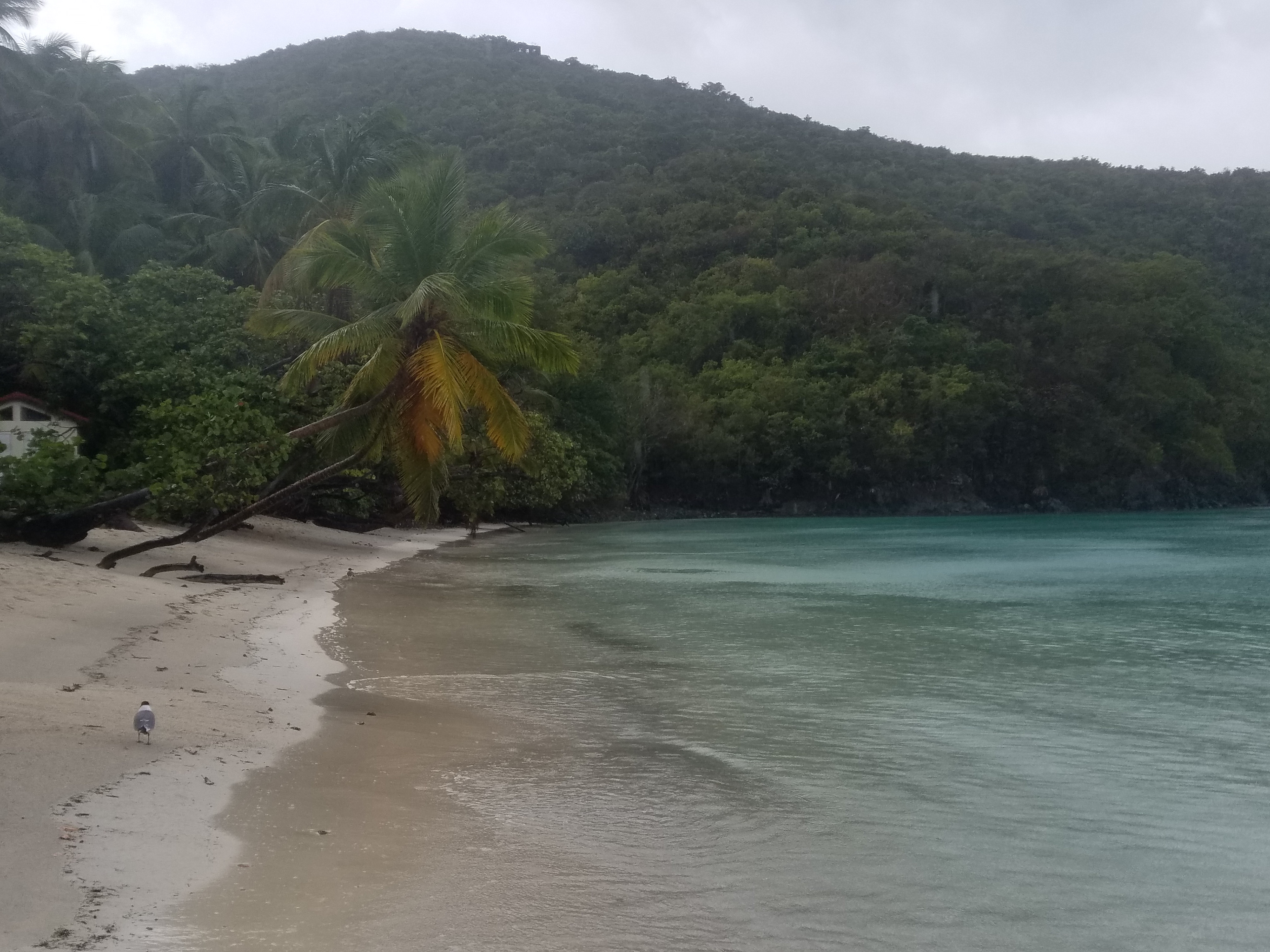 Maho Bay
