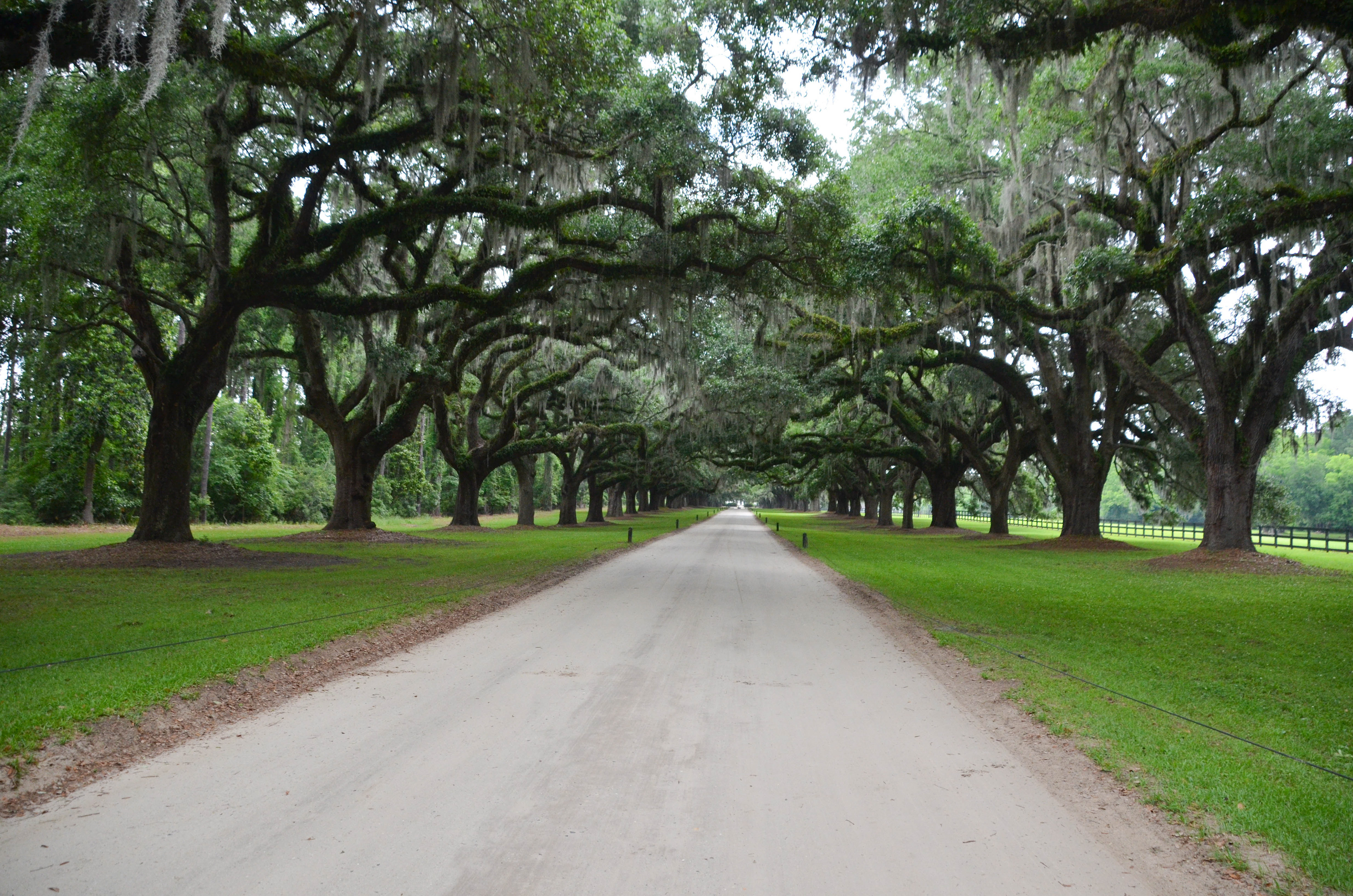 Boone Hall Plantation and Gardens - Mt. Pleasant