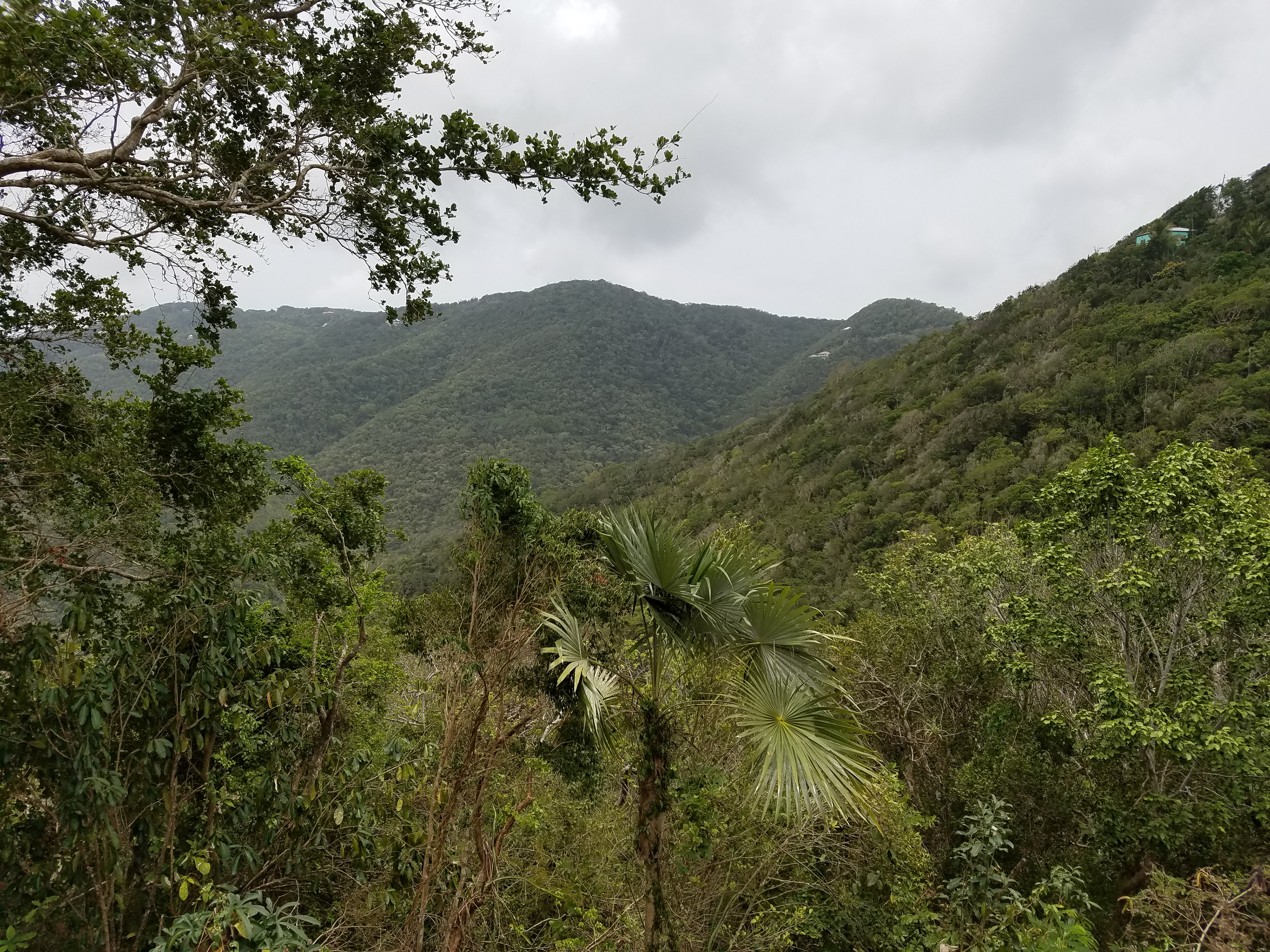 St. John View