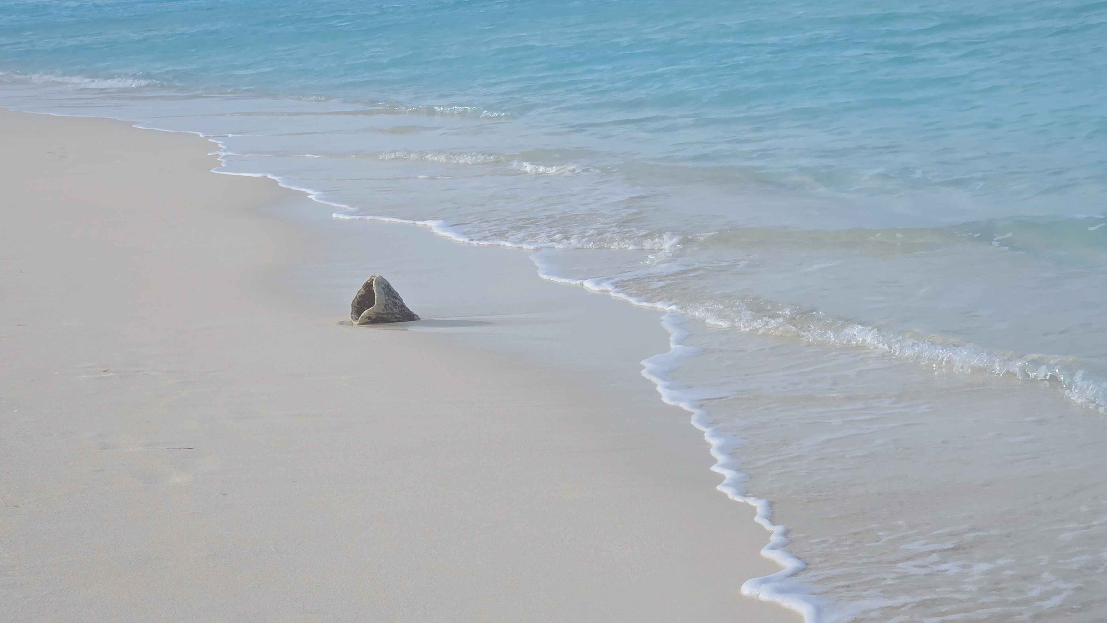 Cocoplum Beach Club, Steventon, Exuma