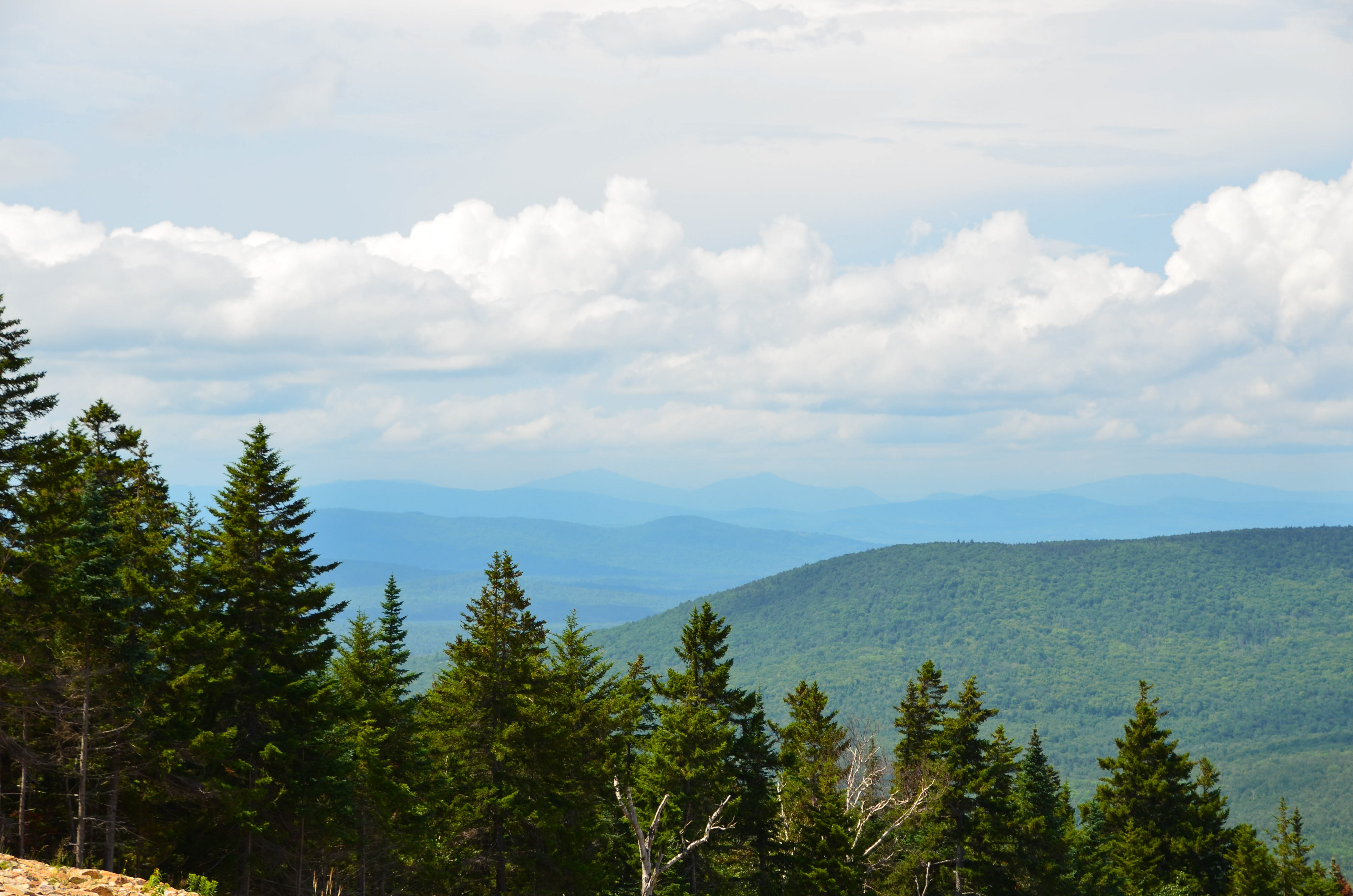 View from Mr. Rosebrook at Bretton Woods