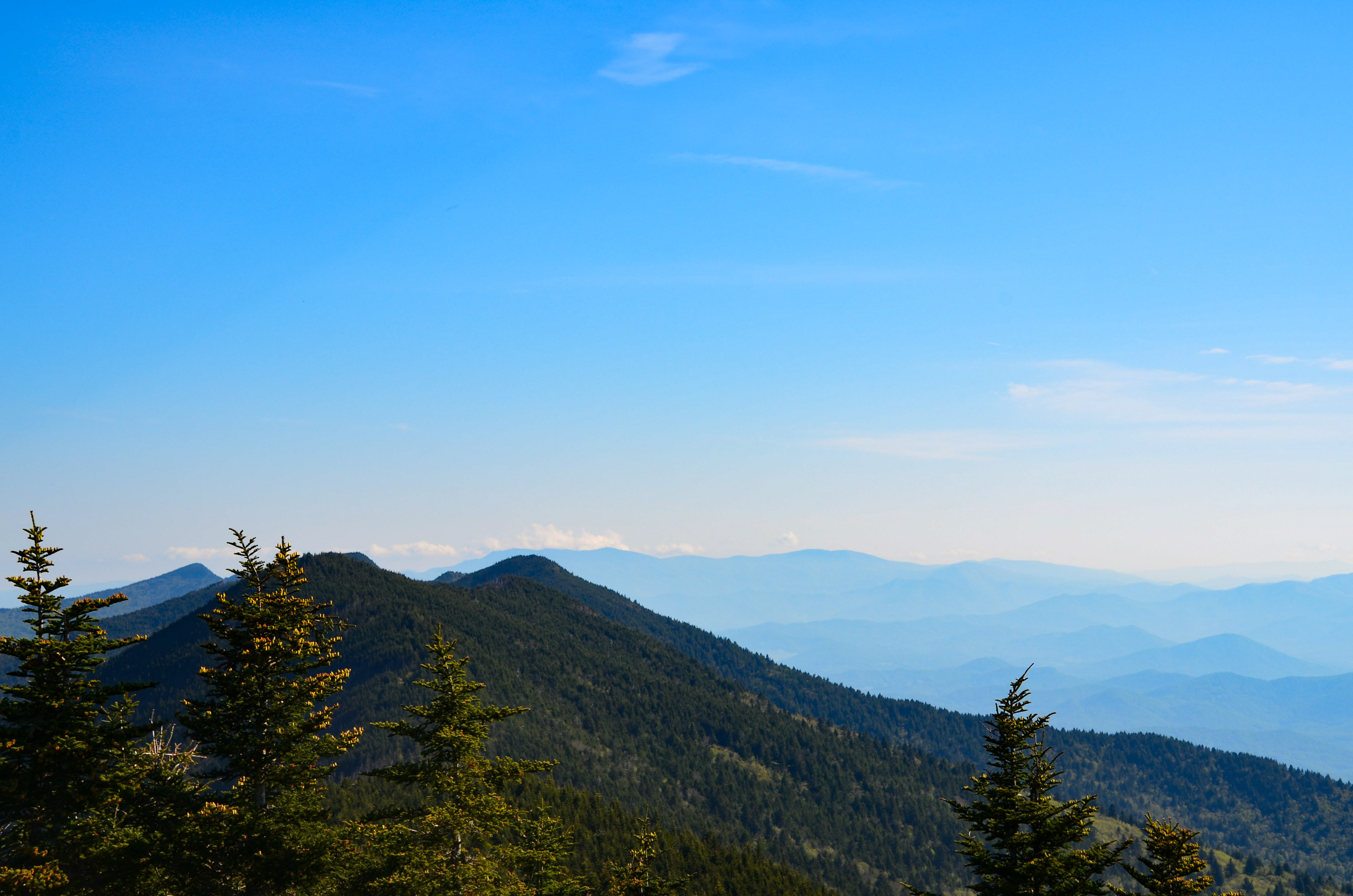 View from Mt. Mitchell, Burnsville - Highest peak east of the Mississippi River