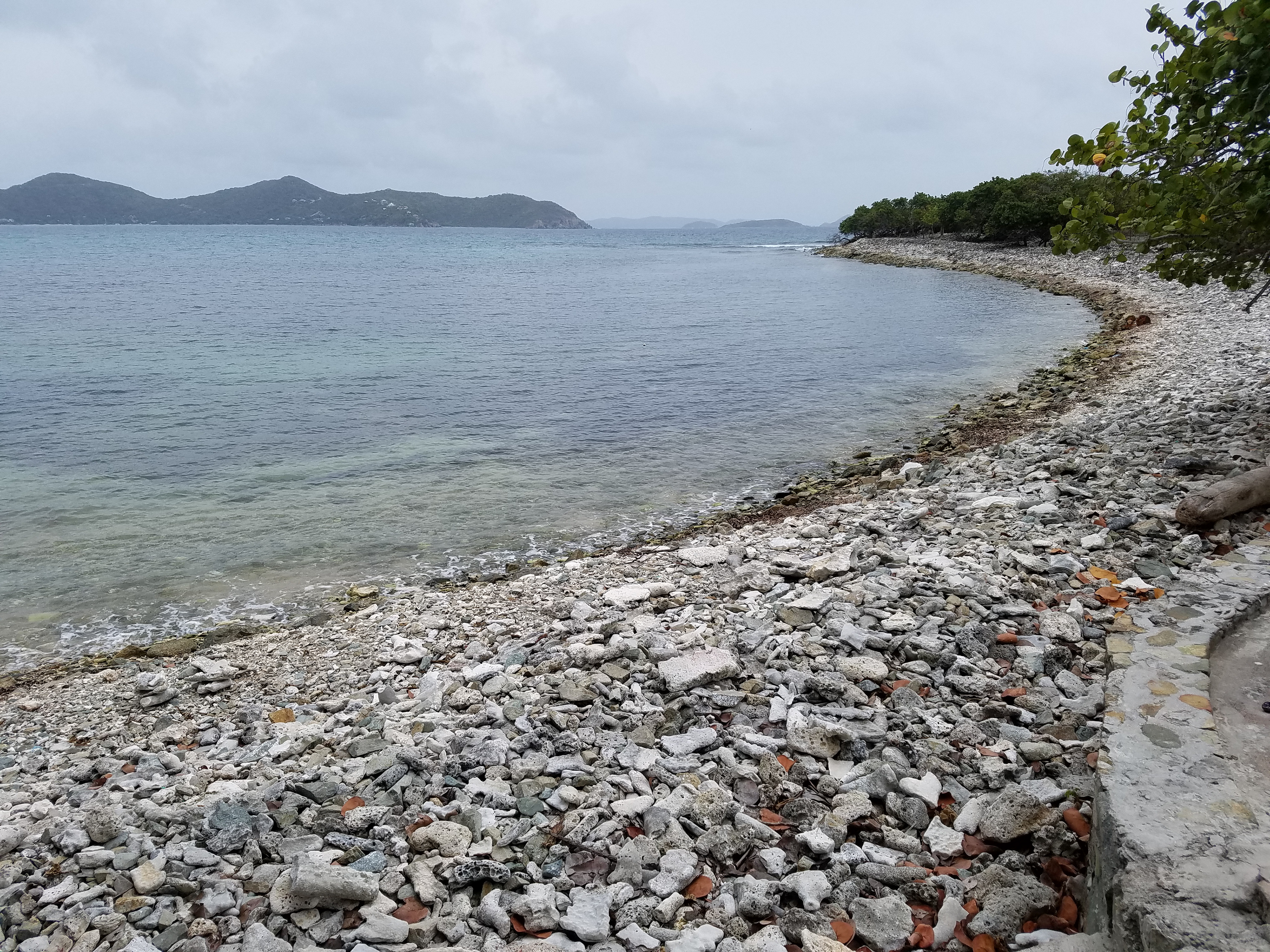 Friis Bay