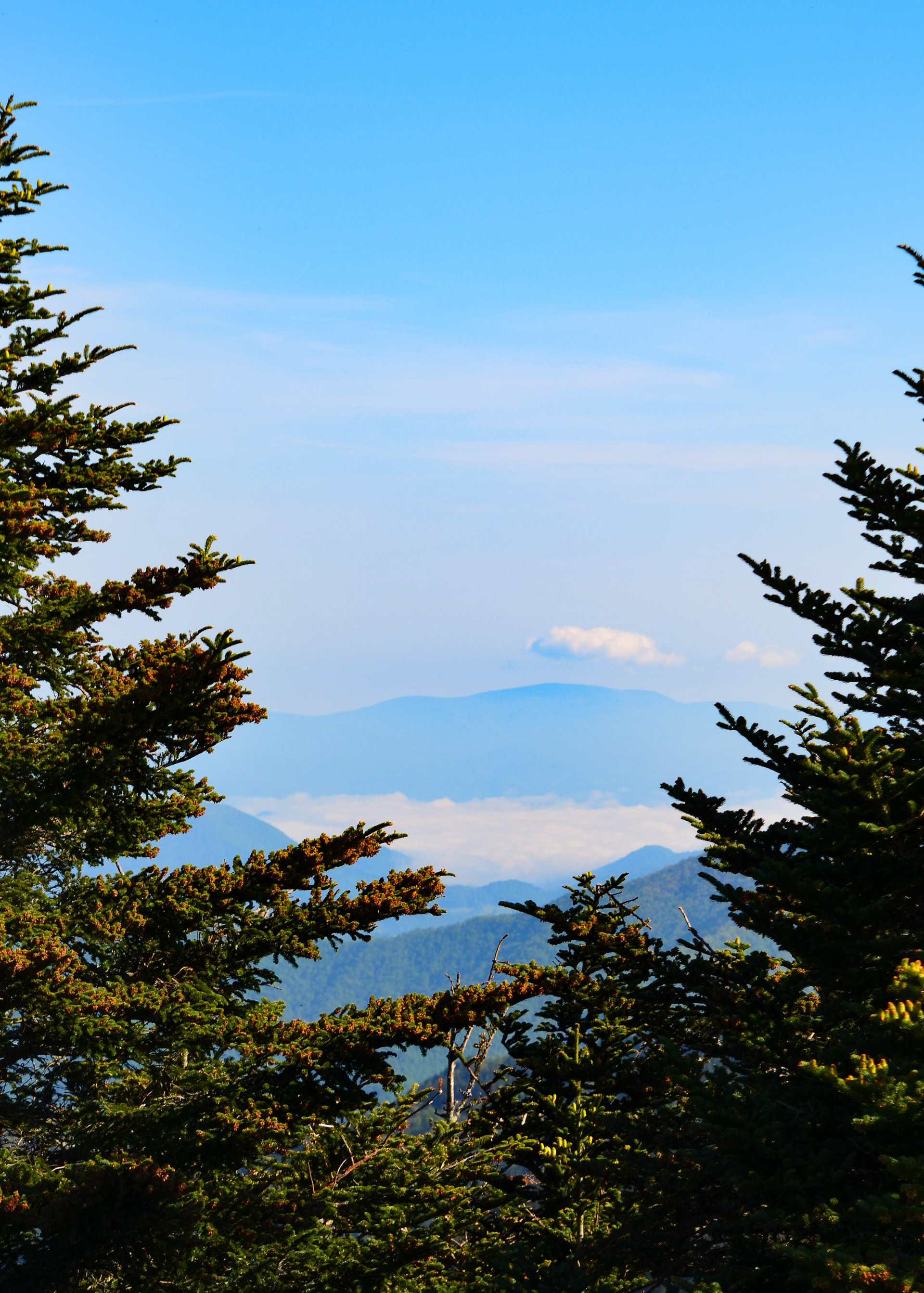 View from Mt. Mitchell, Burnsville - Highest peak east of the Mississippi River