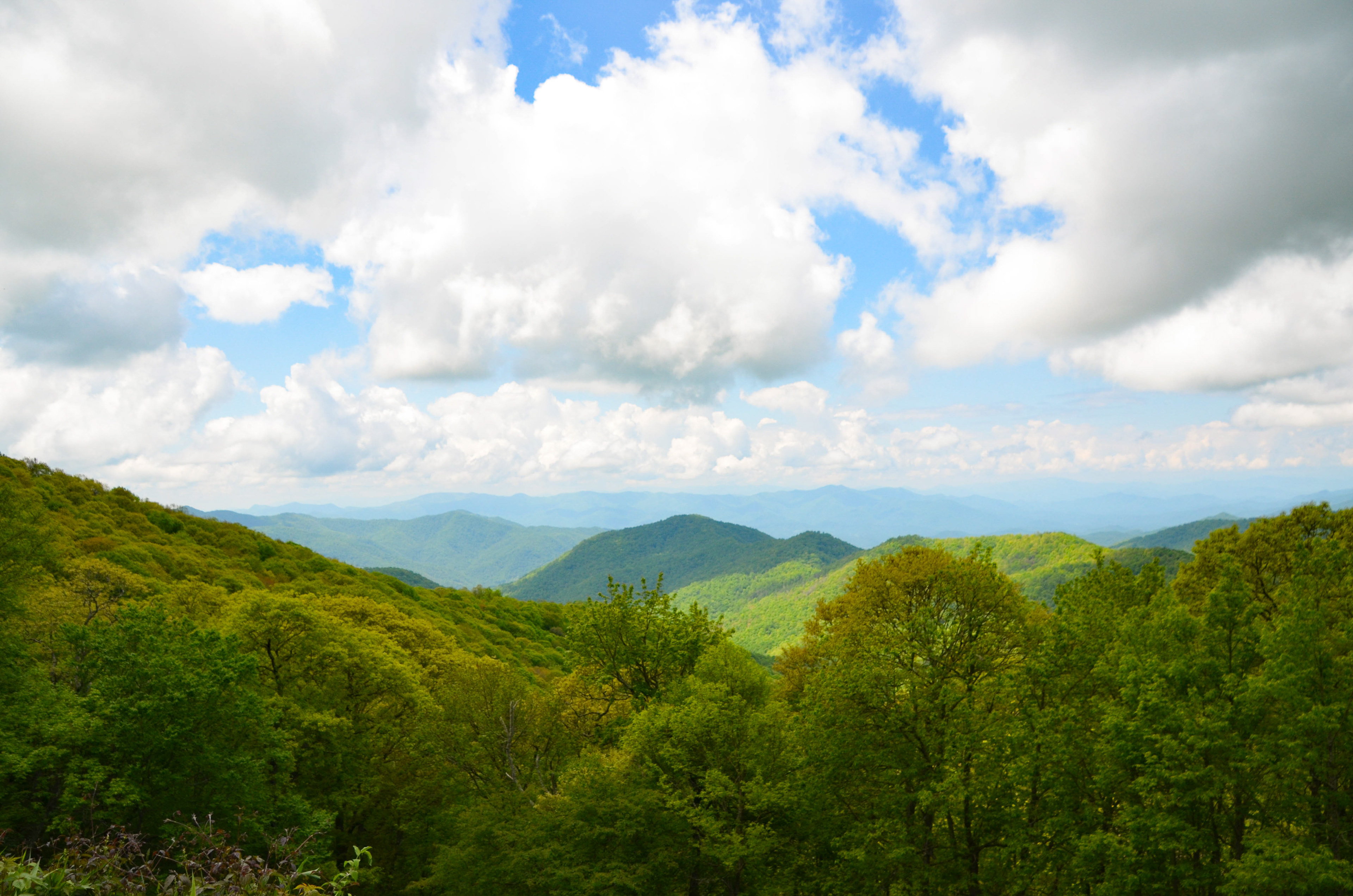 Bunches Bald Overlook, Maggie Valley - Blue Ridge Parkway