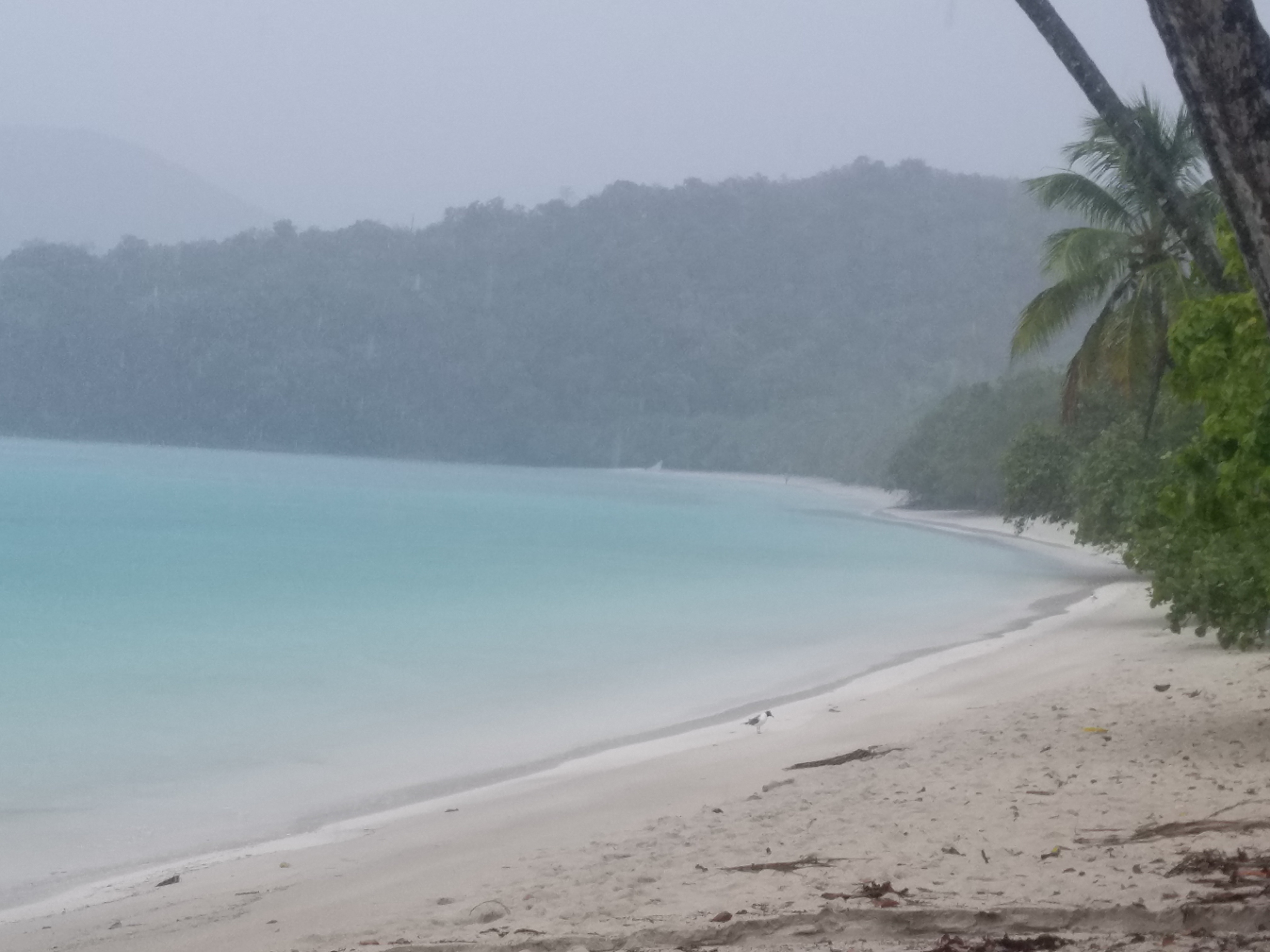 Maho Bay