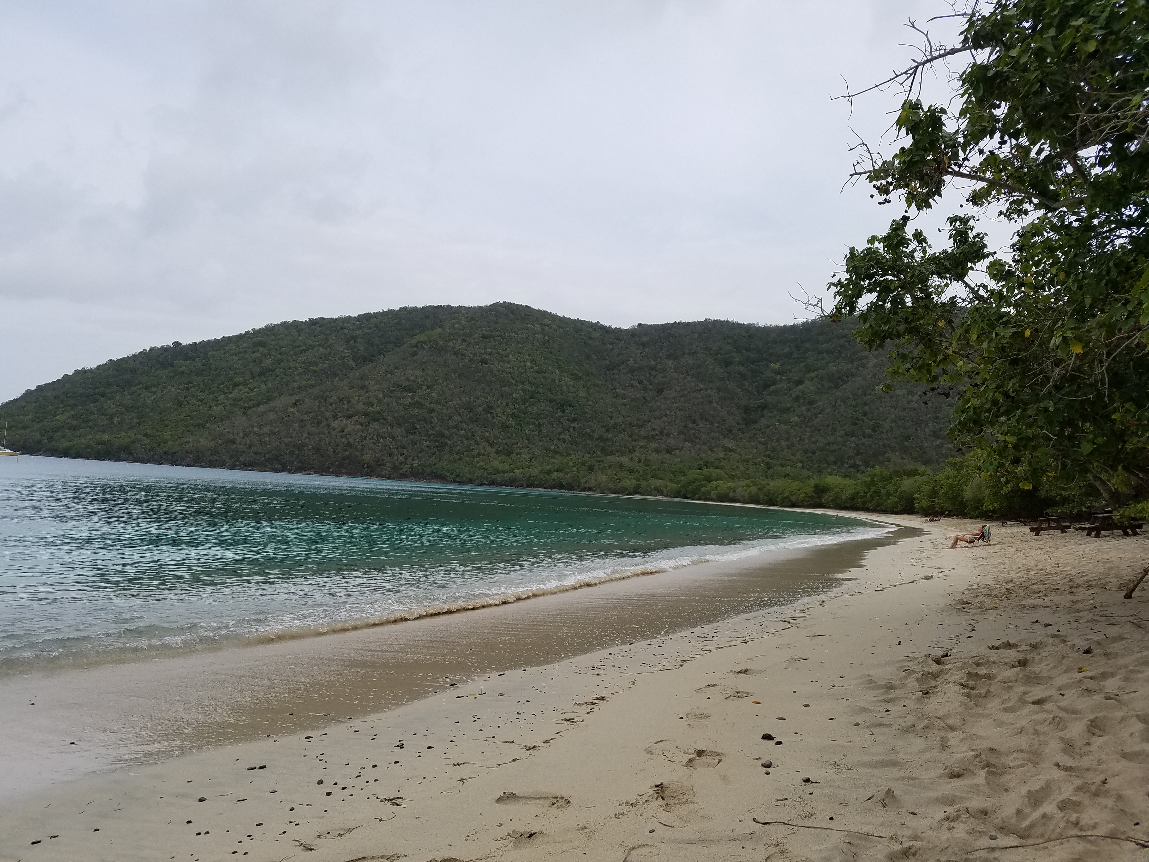 Francis Bay