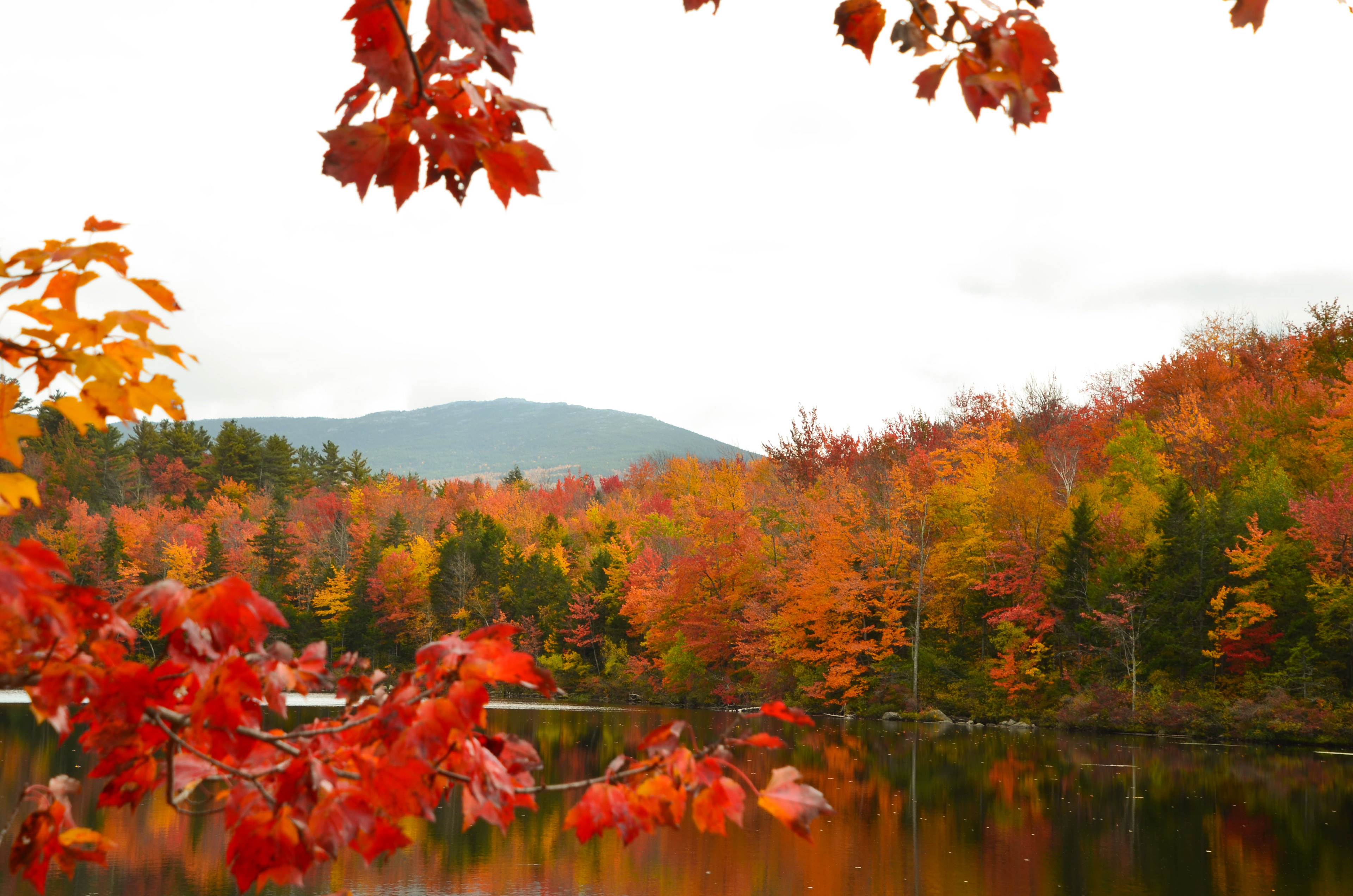 View of Mt. Monadnock from Dublin Lake