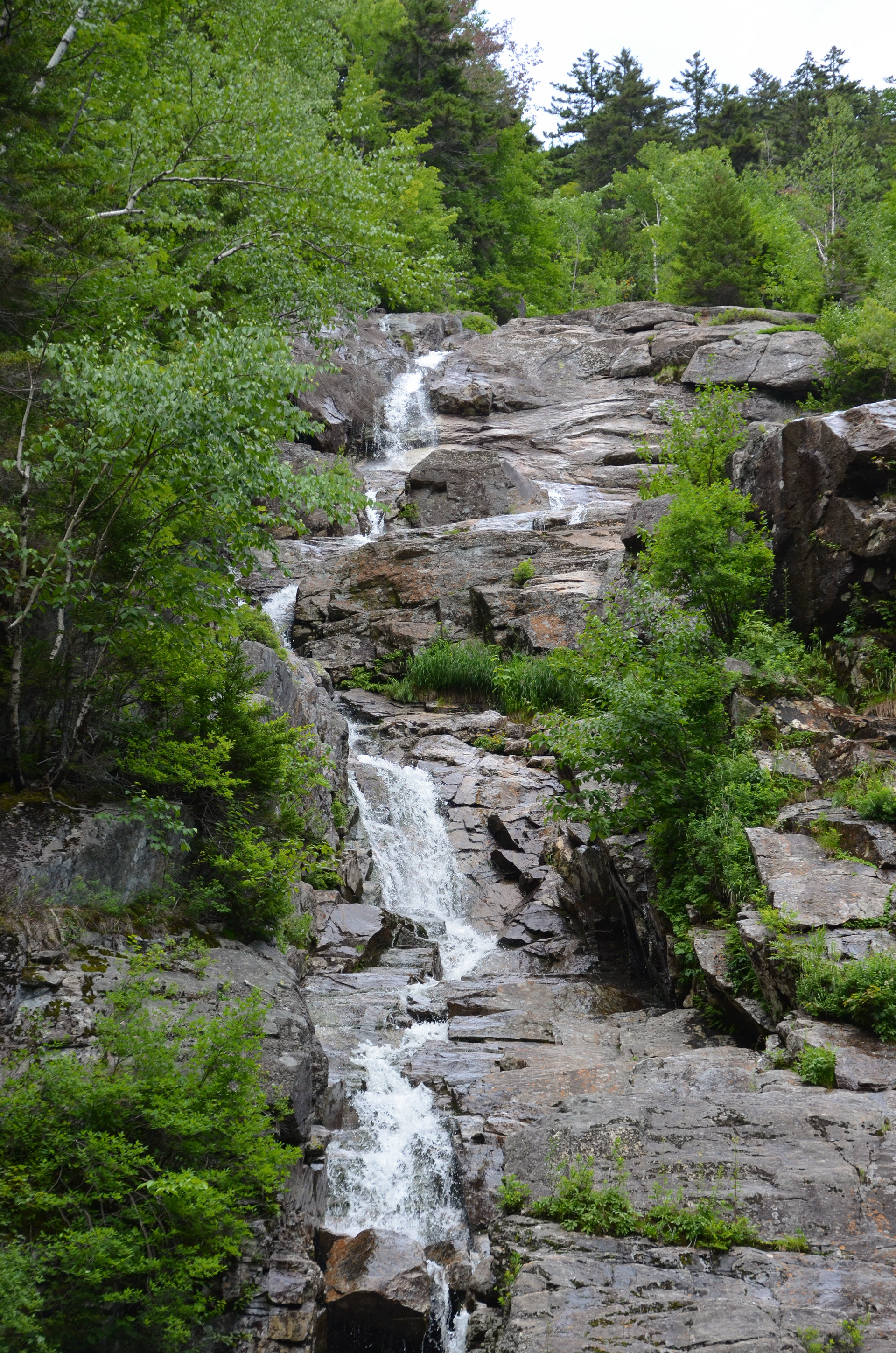 Silver Cascade