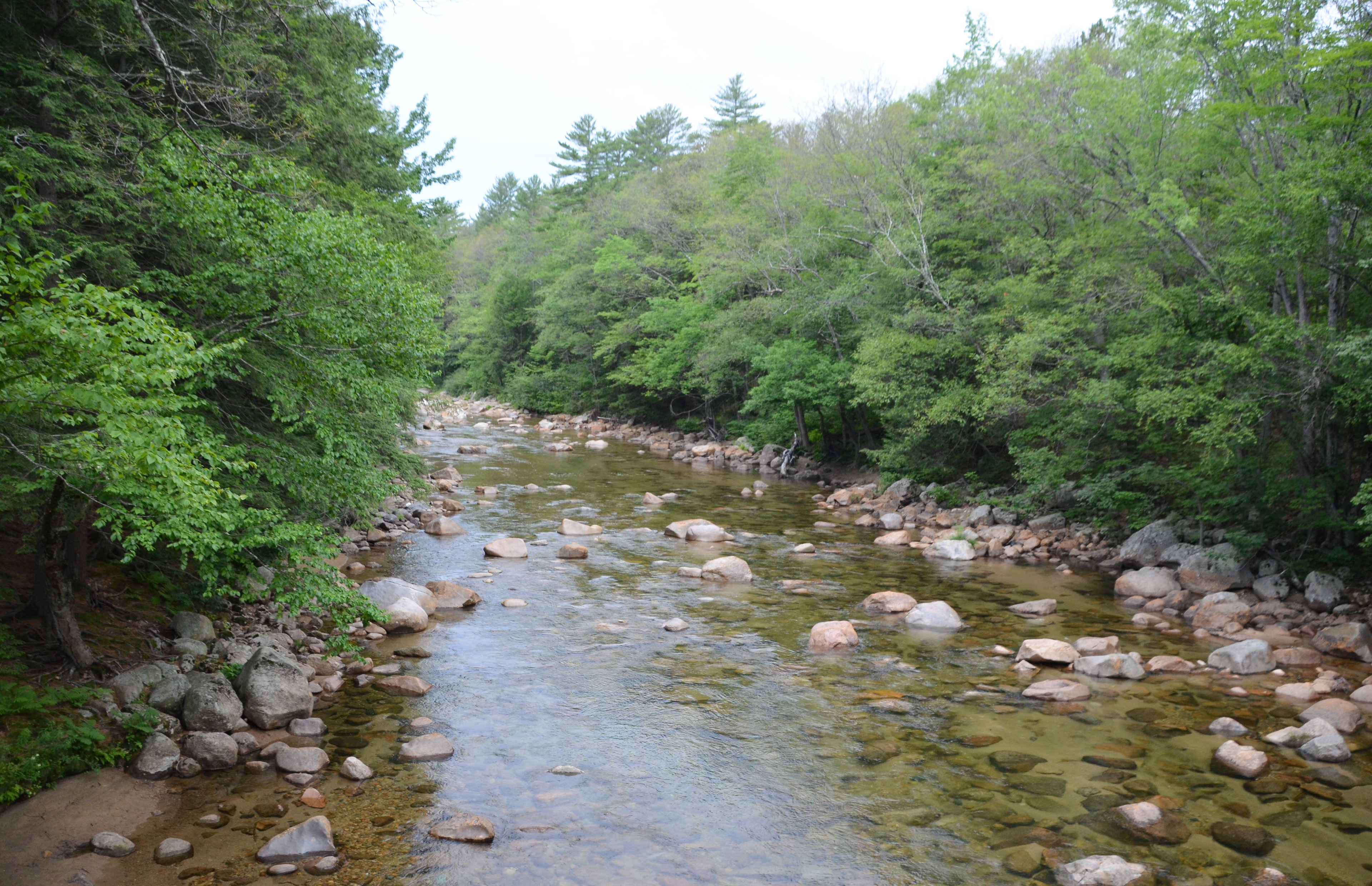 Saco River