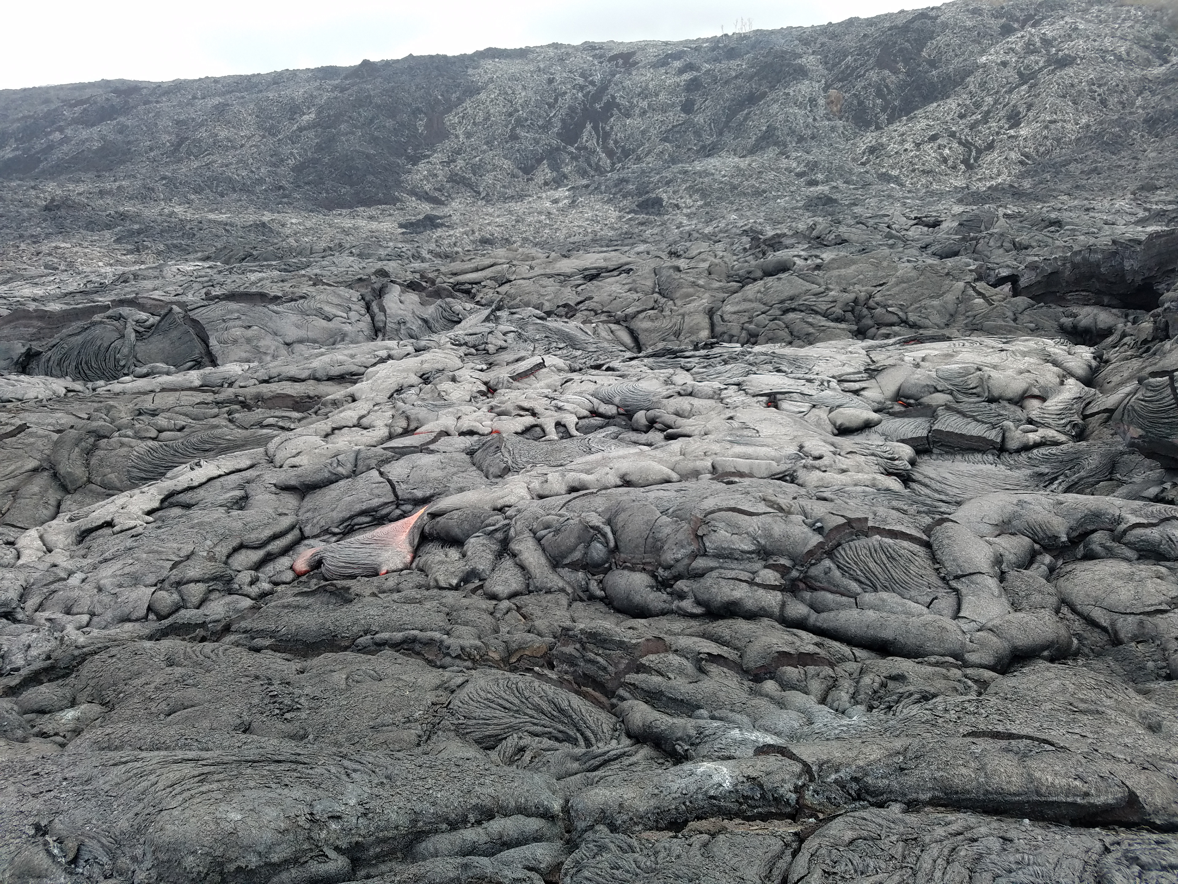 Lava Field, Big Island