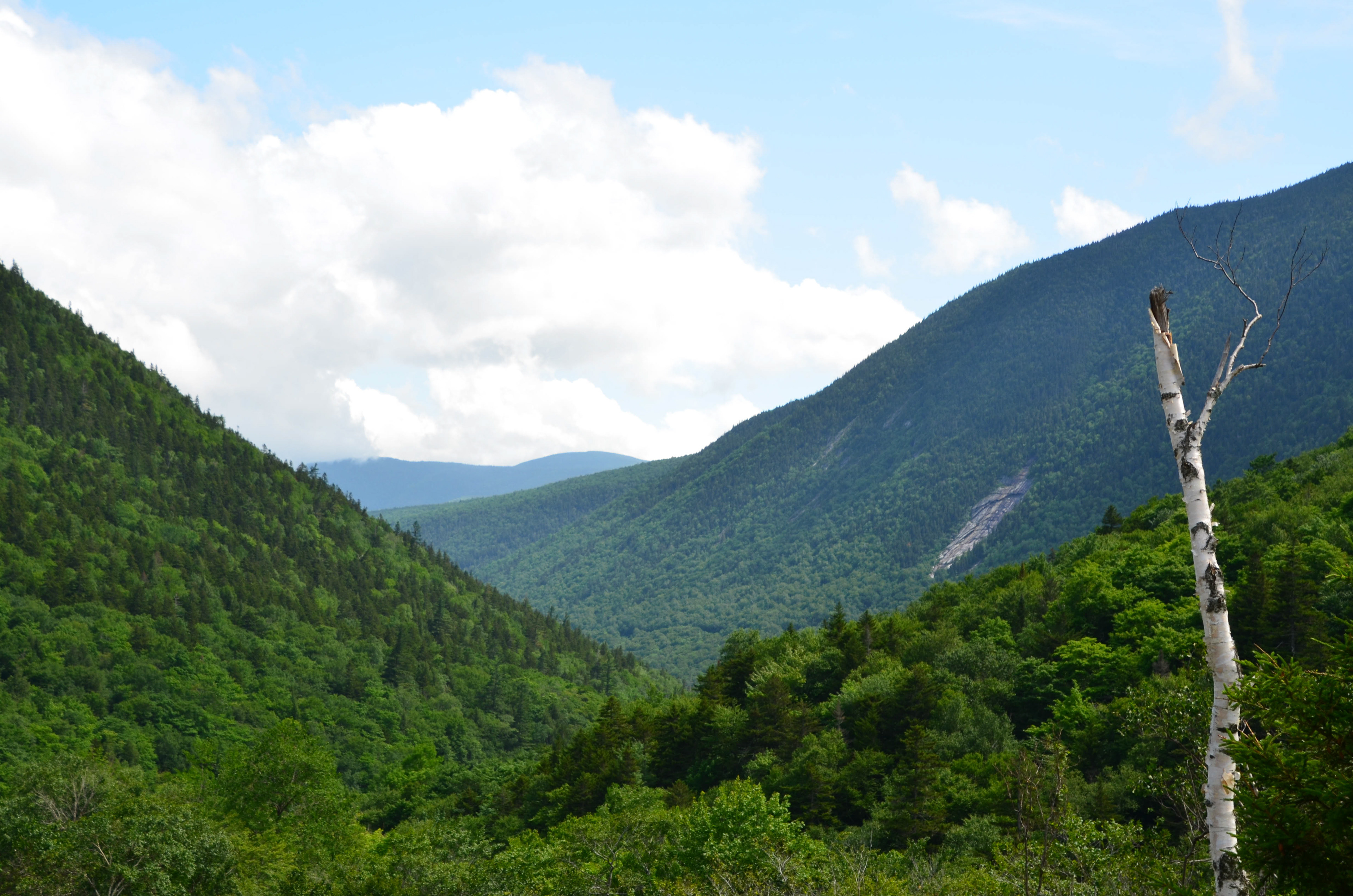 Mt. Webster, Mt. Bemis, Mt. Willey, and Mt. Willard