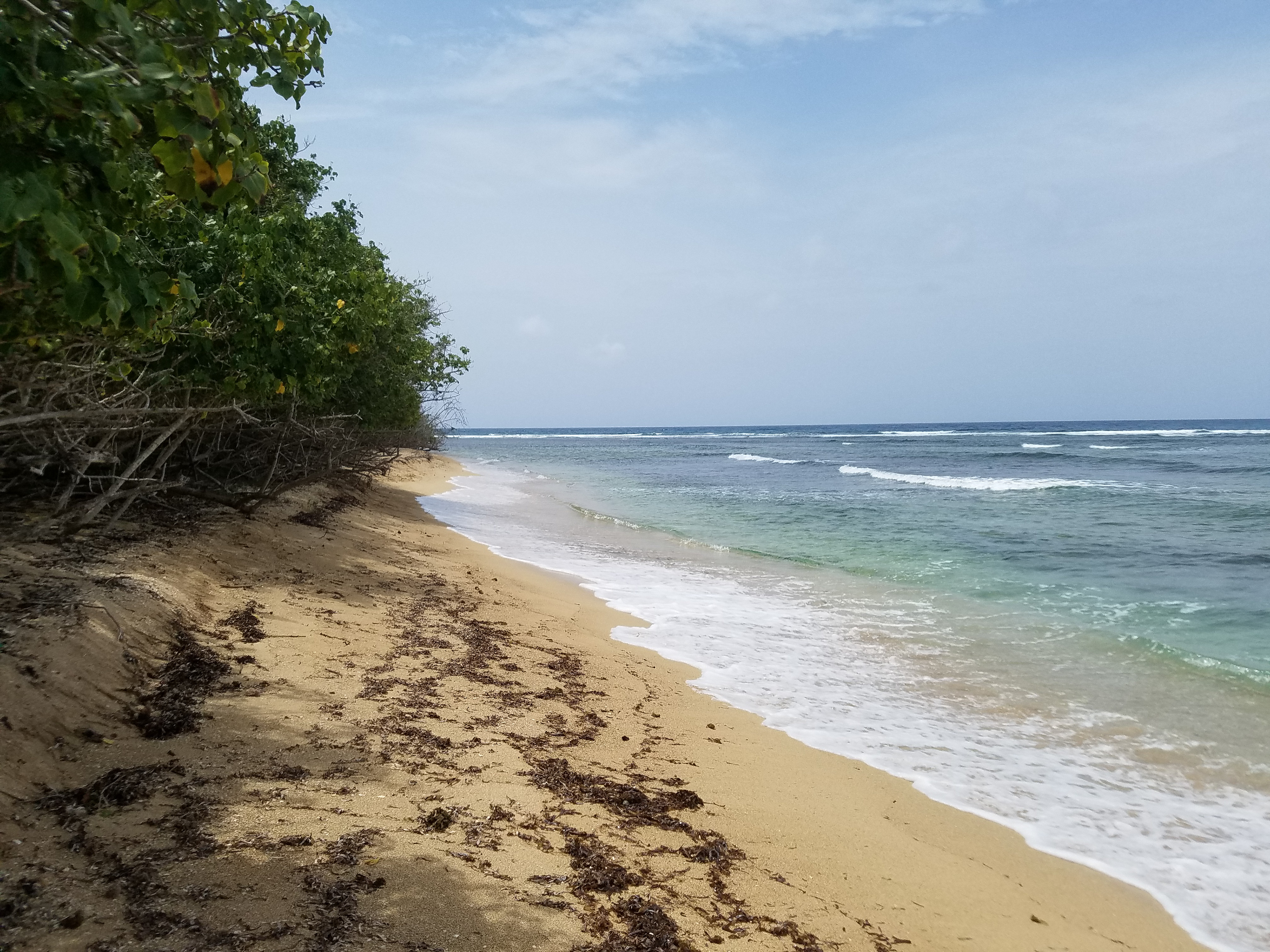 Reef Bay
