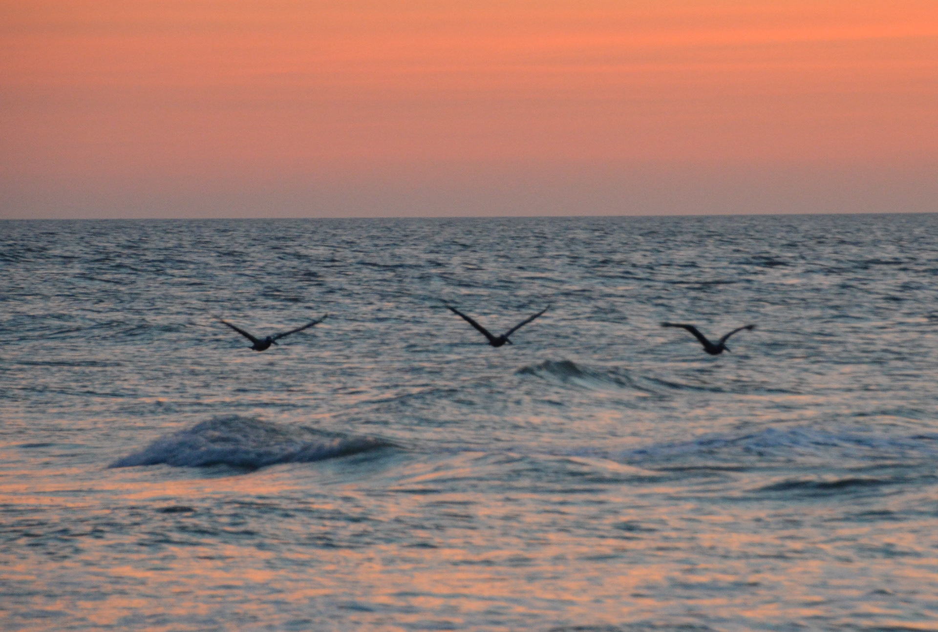Tybee Beach - Tybee Island
