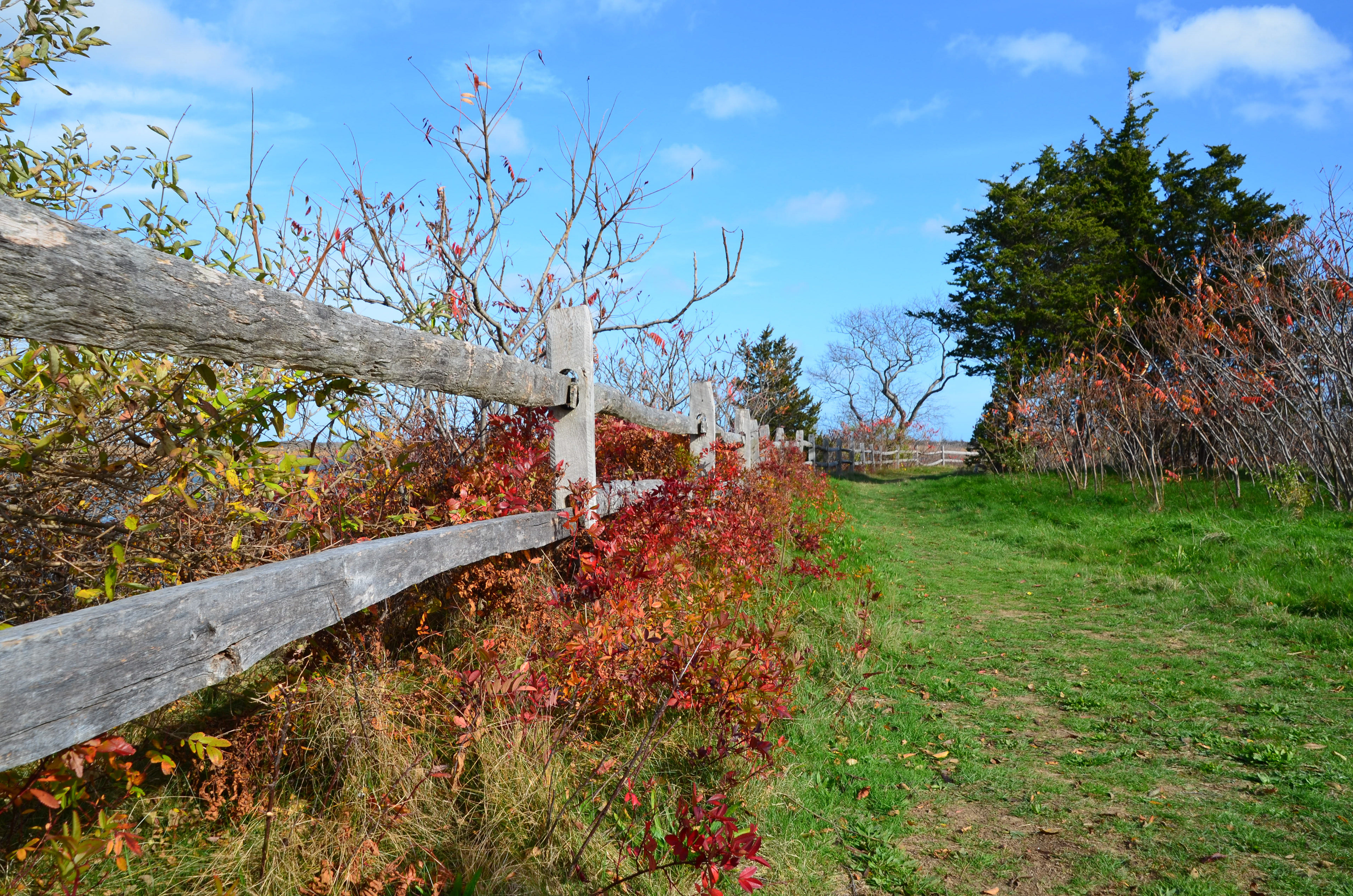Parker River National Wildlife Refuge, Newbury, MA