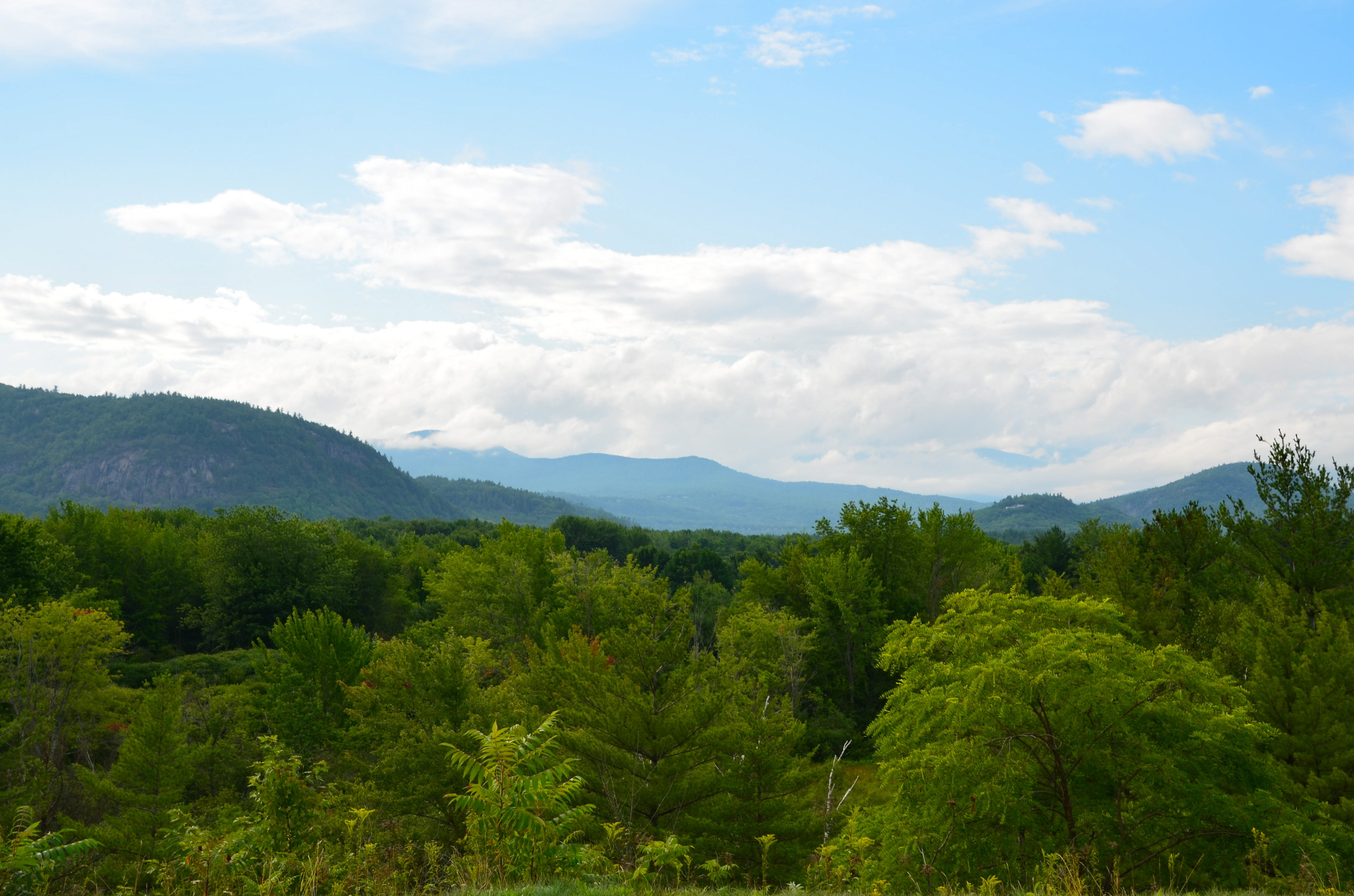 View from Intervale Scenic Vista