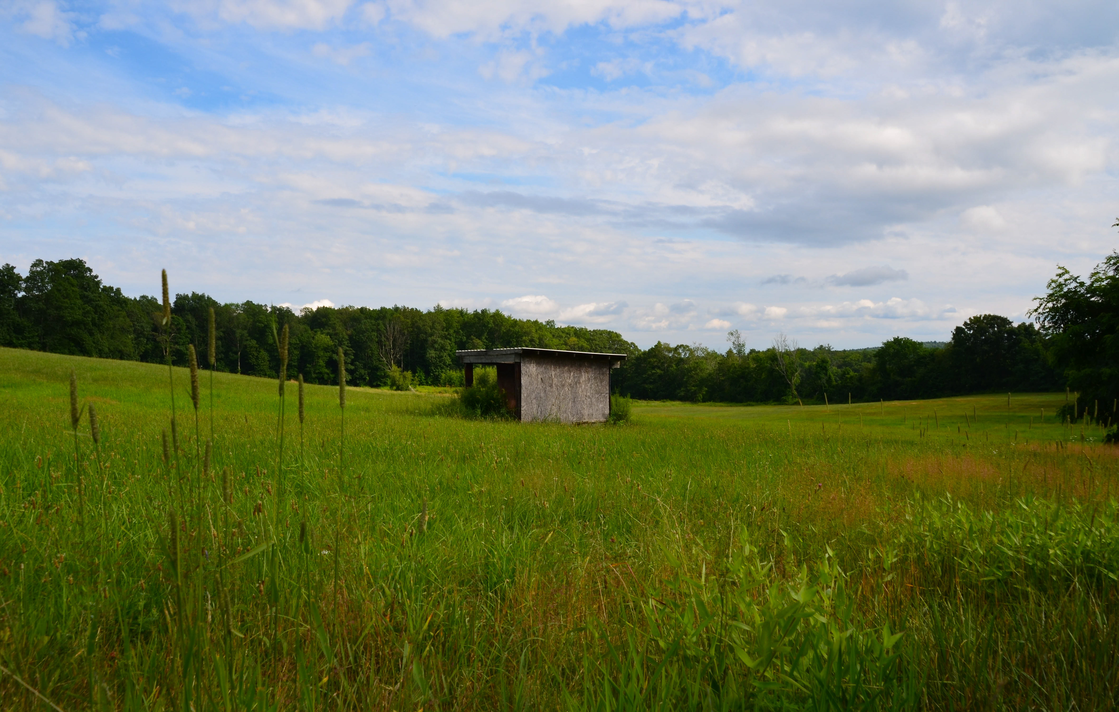 Field on Route 156