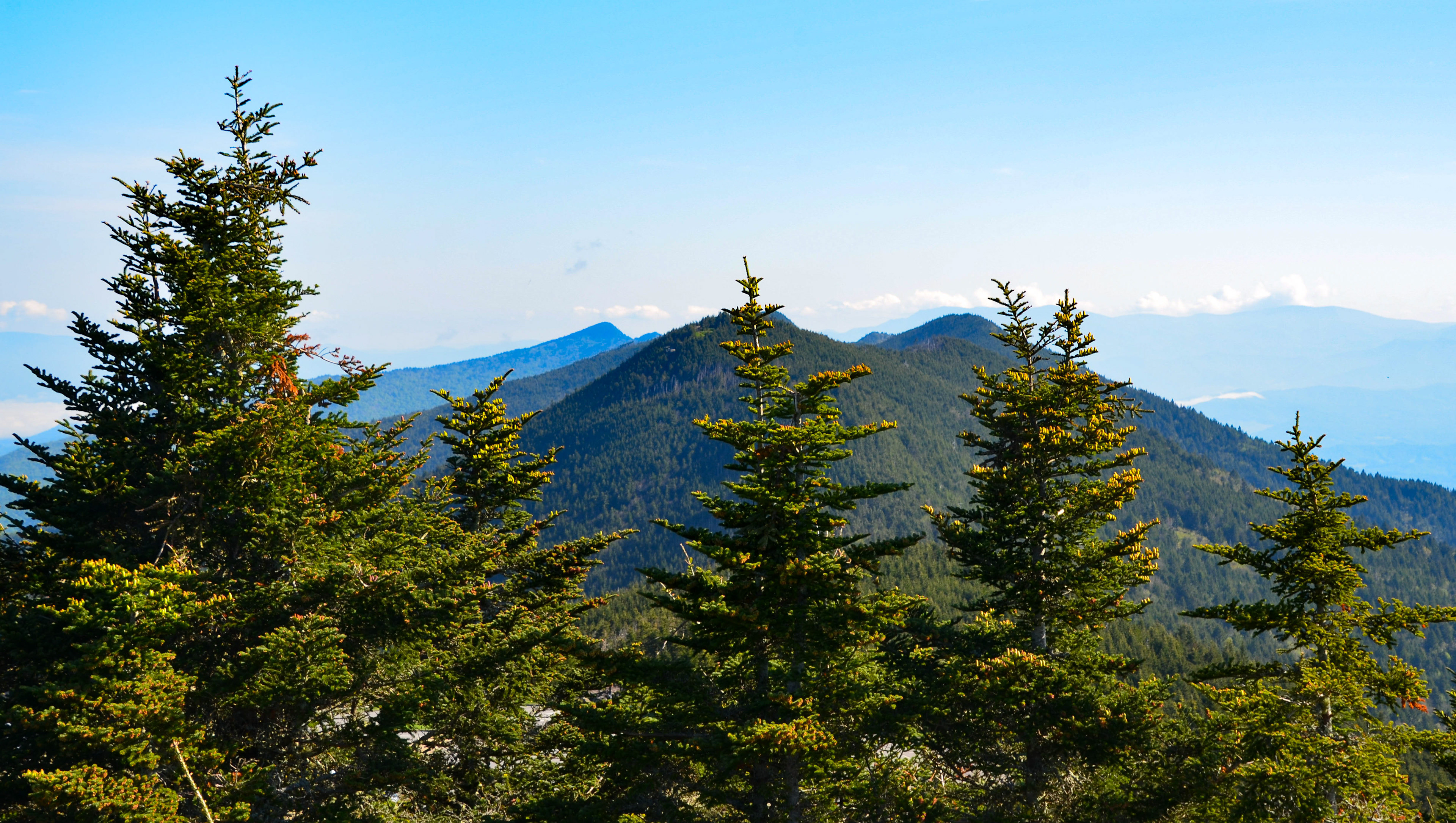 View from Mt. Mitchell, Burnsville - Highest peak east of the Mississippi River