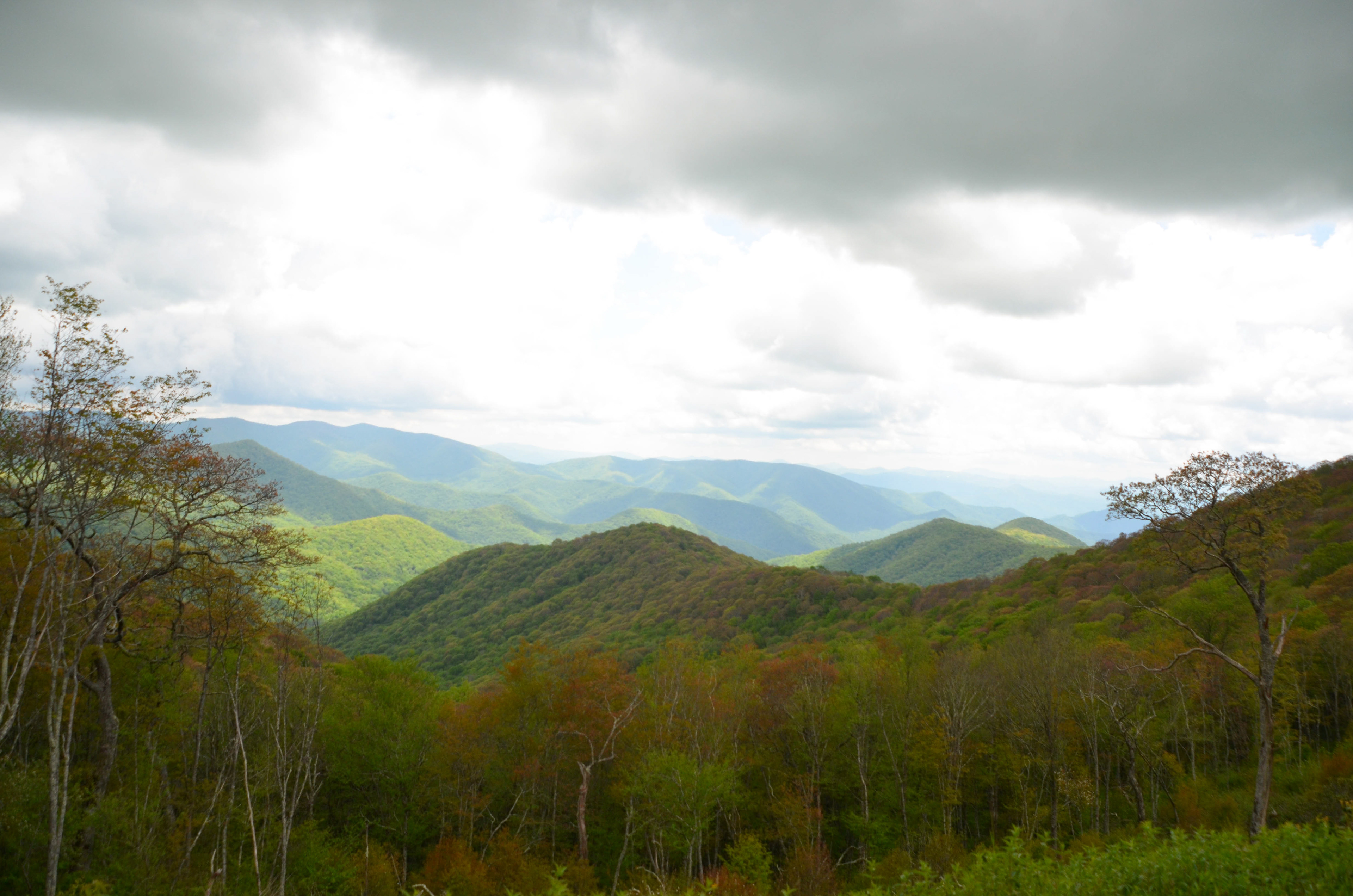 Steestachee Bald, Great Balsam Mountains - Blue Ridge Parkway