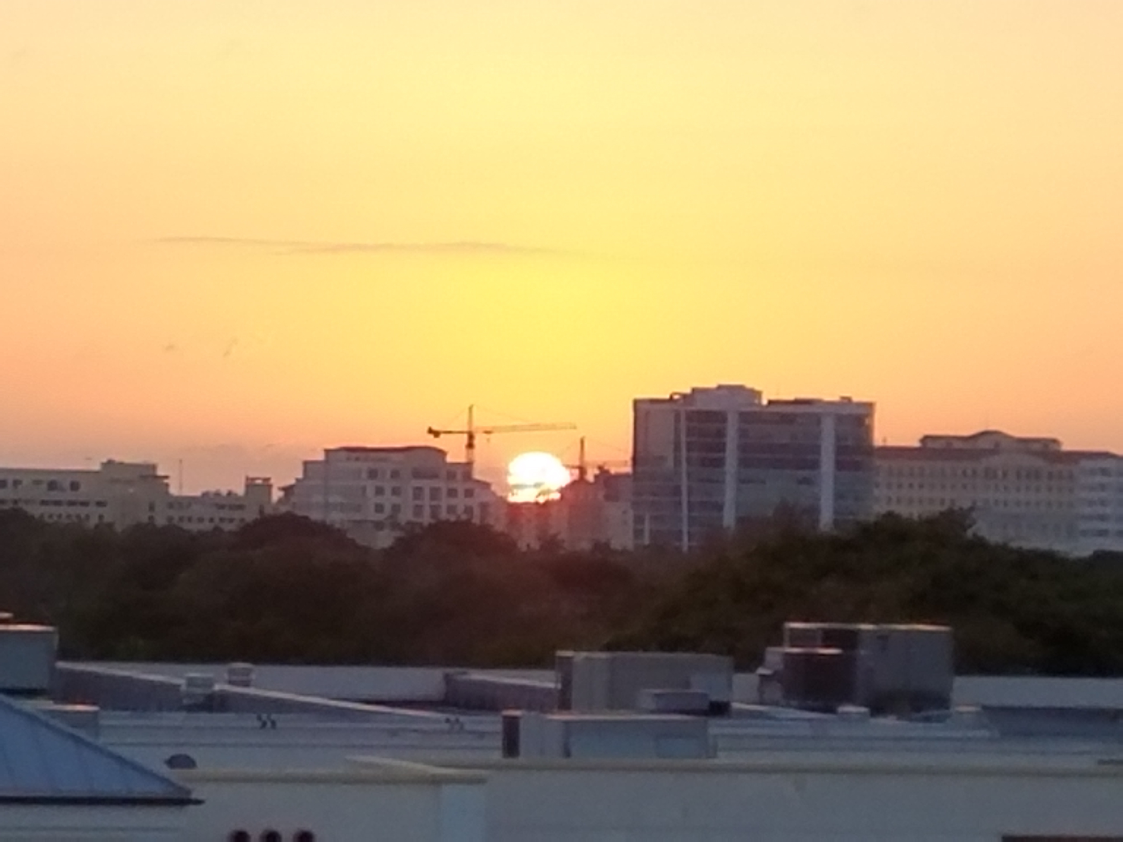 Coconut Grove, Miami