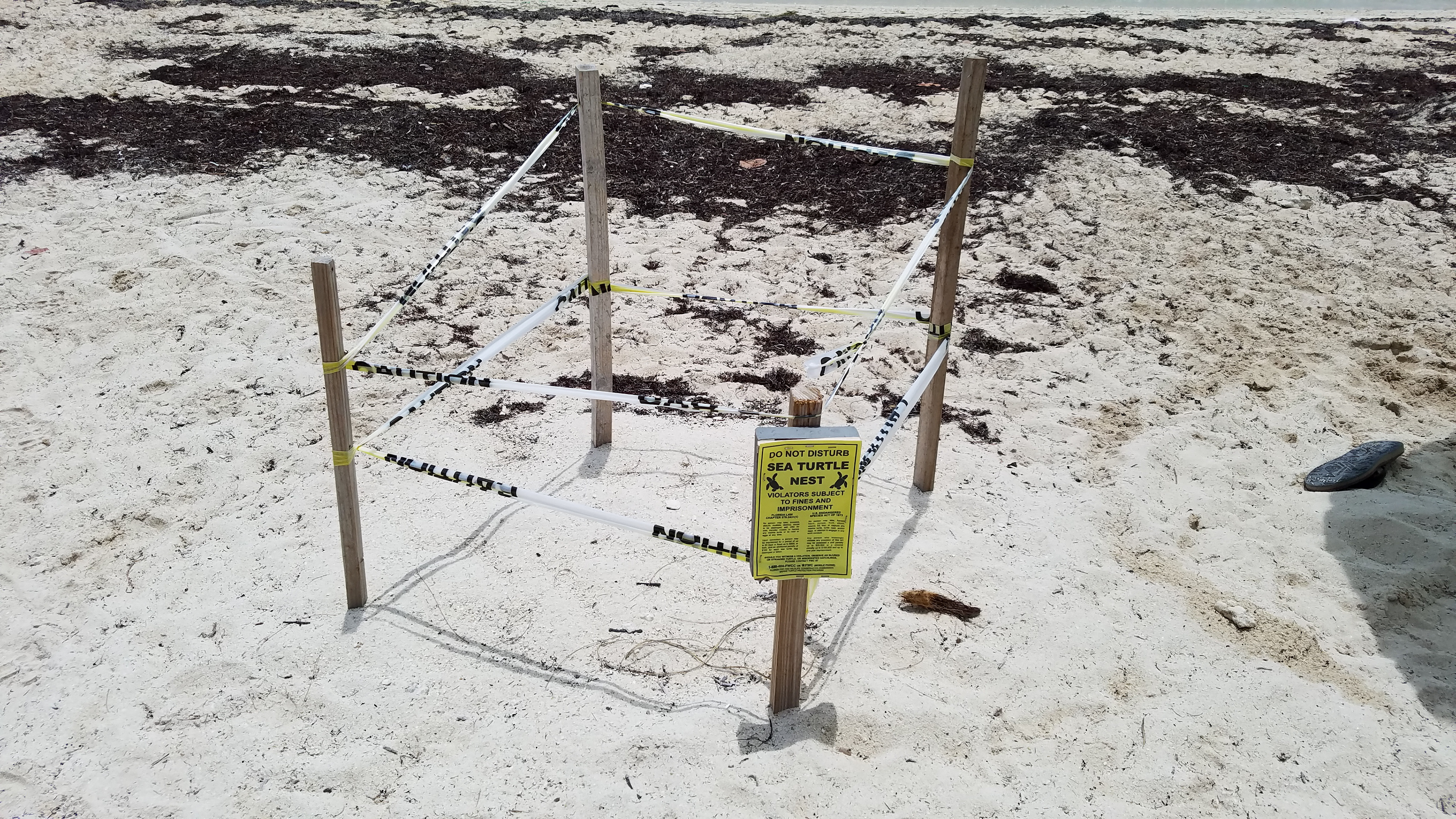 Fort Zachary Taylor Historic State Park Beach, Key West