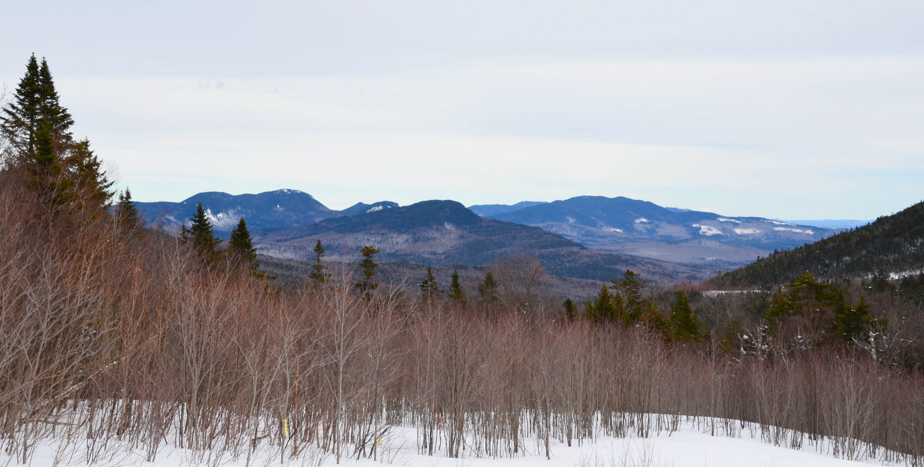 View from C. L. Graham Wangan Overlook