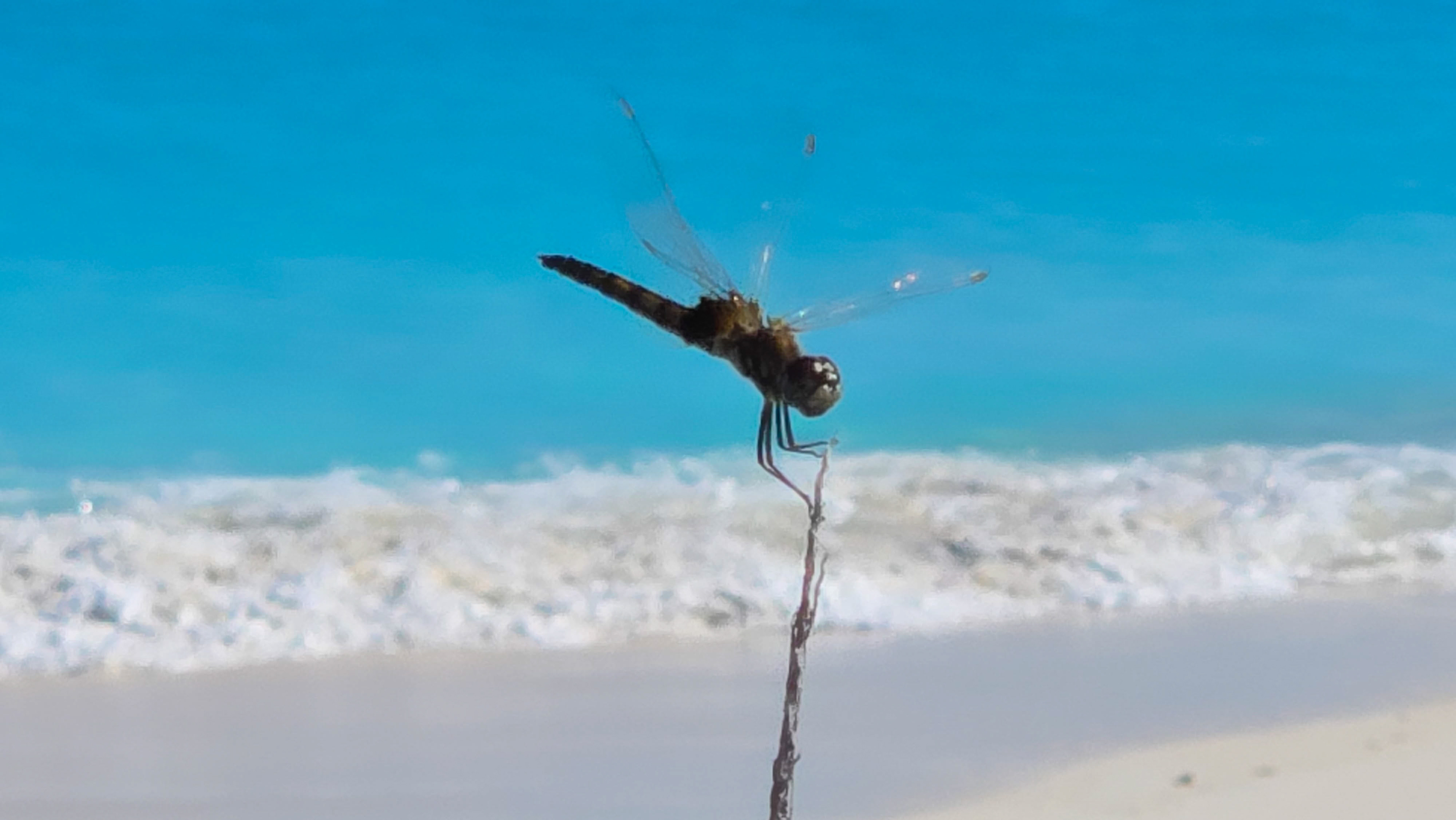 Three Sisters Beach, Moss Town, Exuma