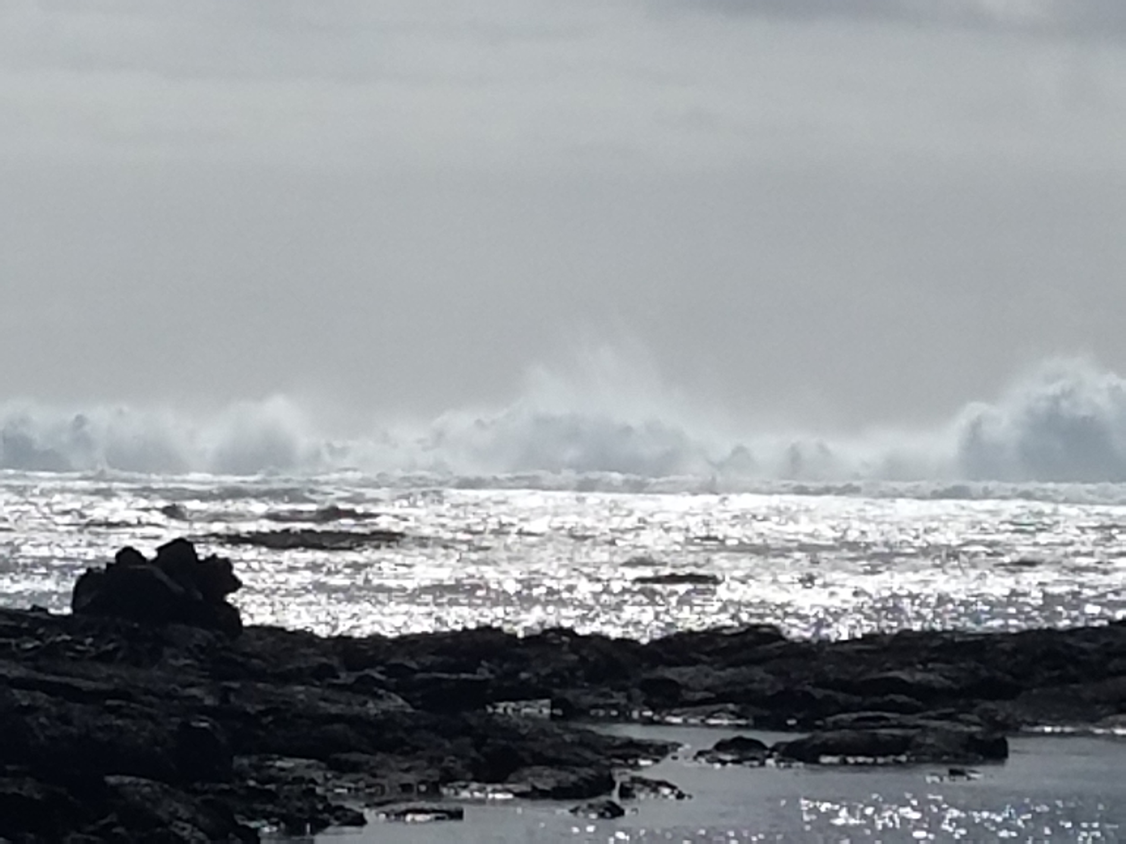 Kapoho Tide Pools, Big Island