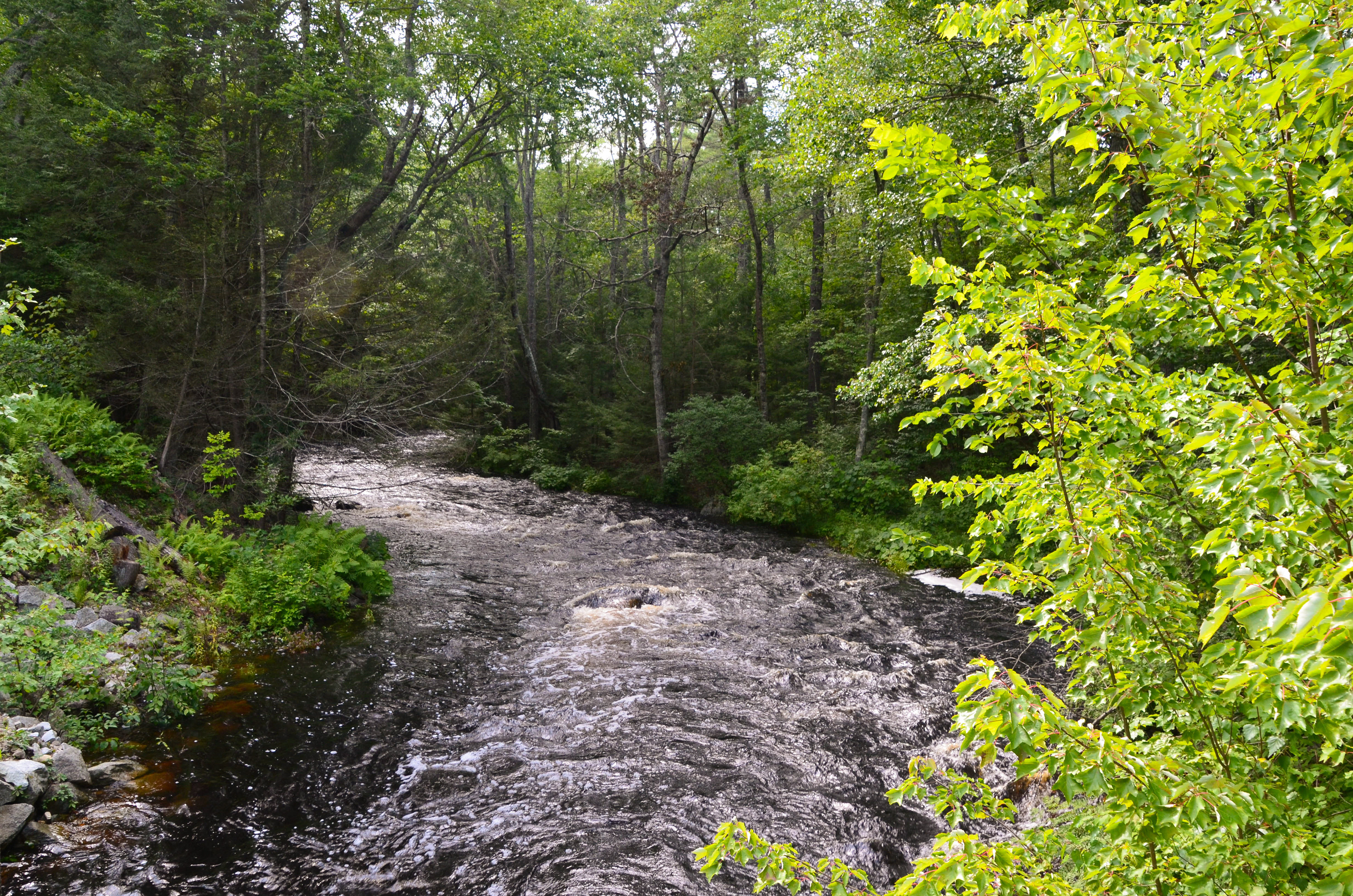 North River