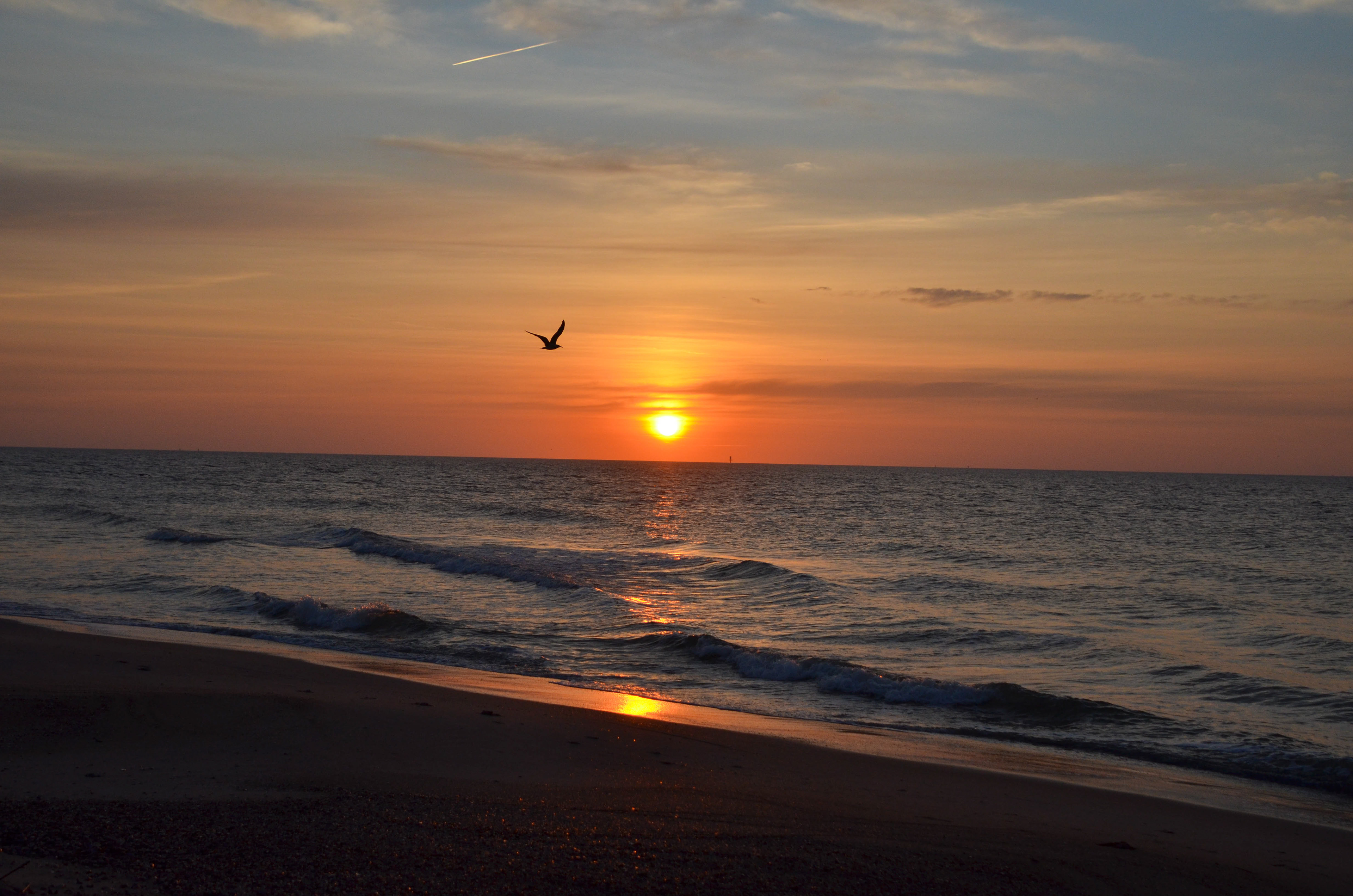 Tybee Beach - Tybee Island
